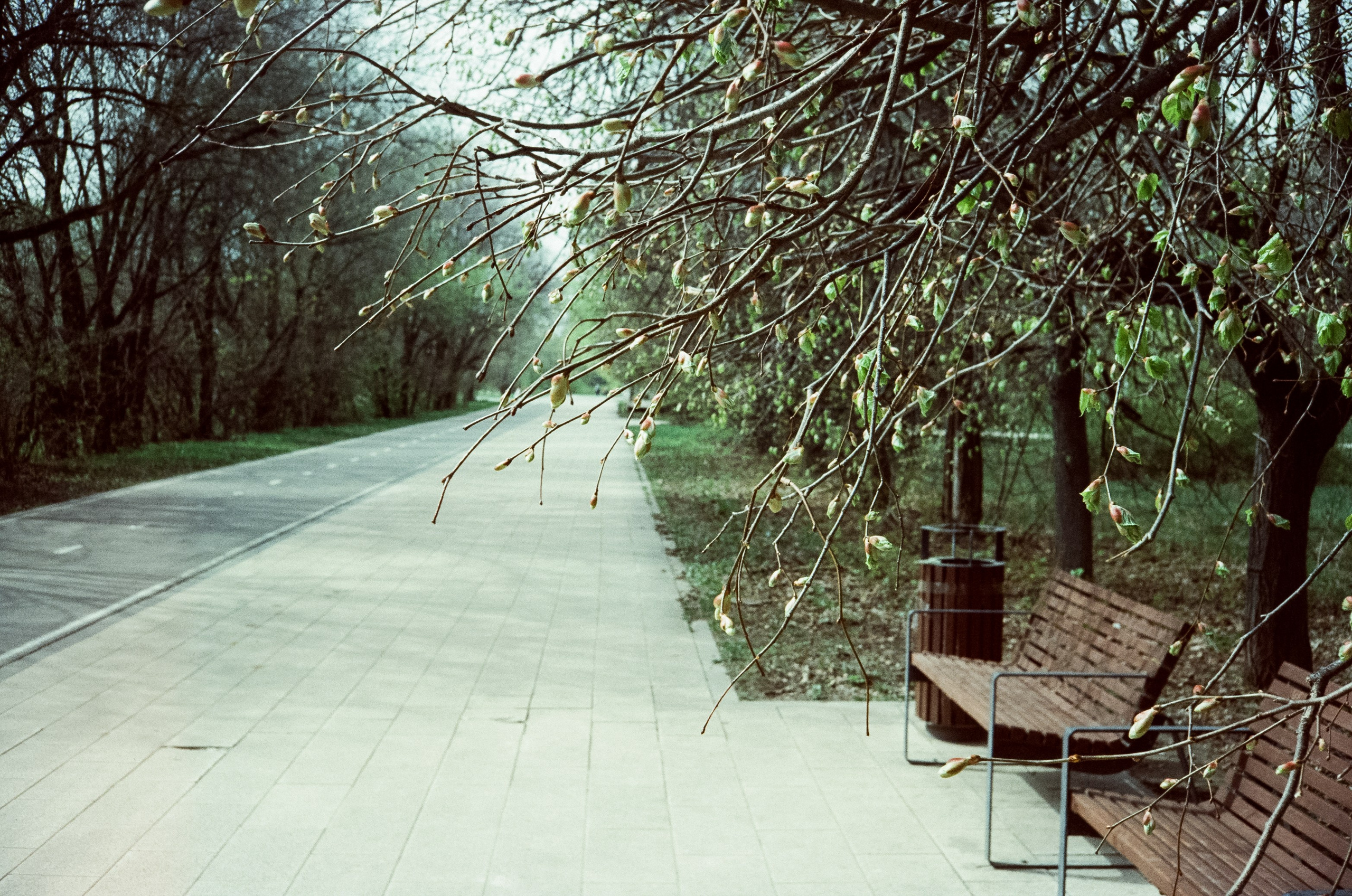 Ricoh 500GS / SFL 200T / Строгино тестовая пленка апрель 2024 г