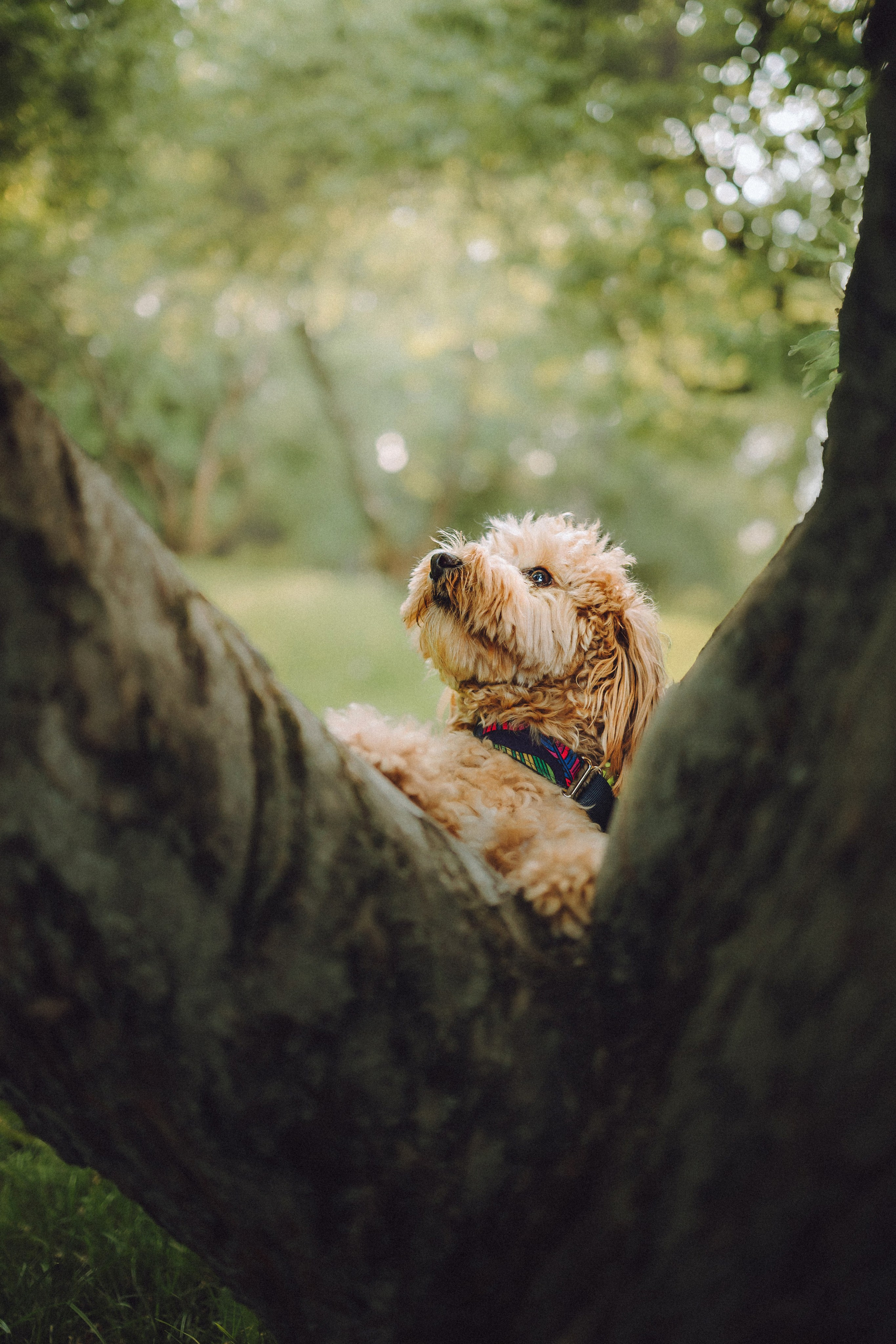Фред и его семья