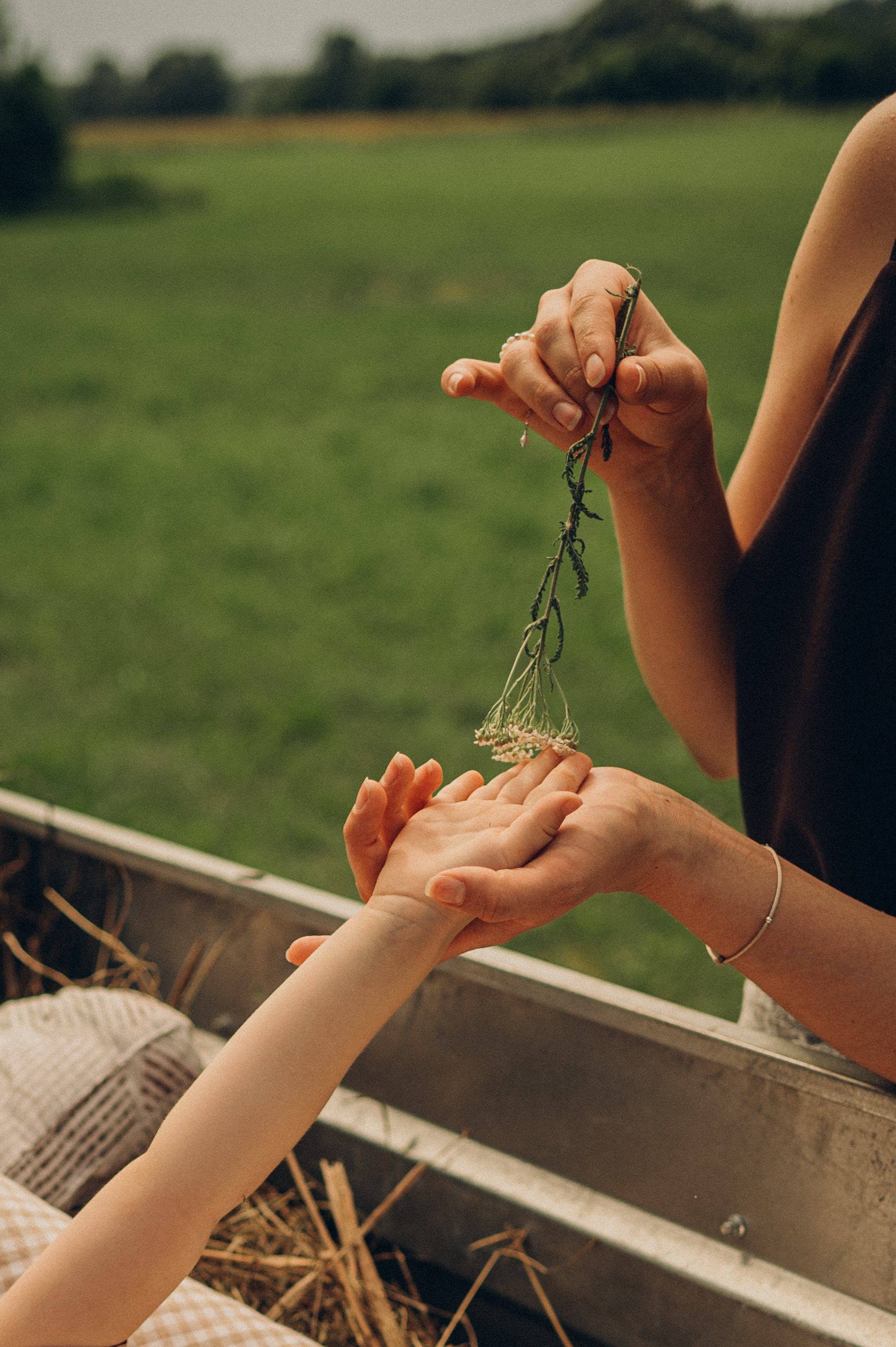 На природе. Фотограф Алиса Чечина. Калуга. Товарково