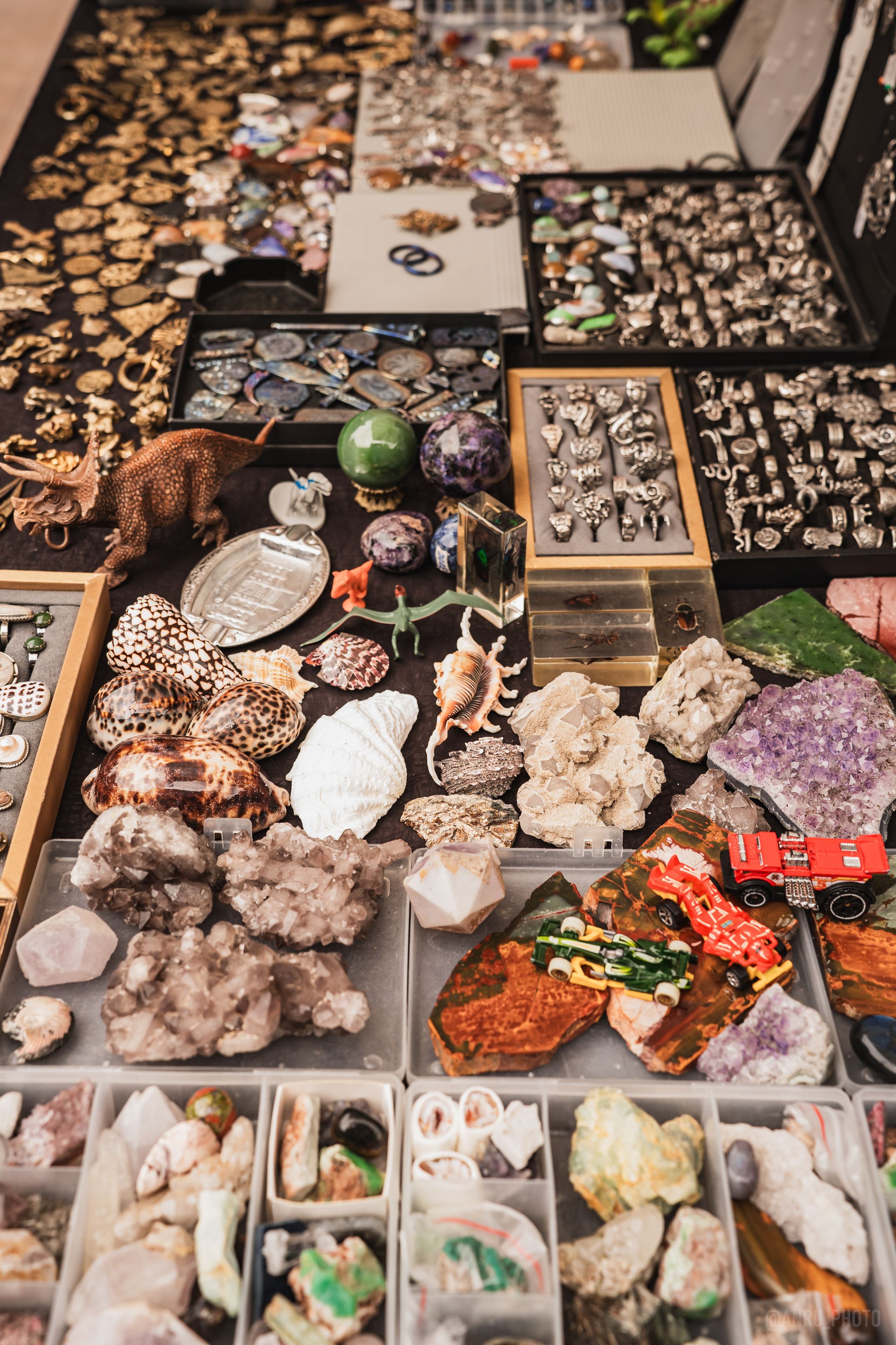 Выставка, гости на Nord fest. Репортажный фотограф Анастасия Рубцова