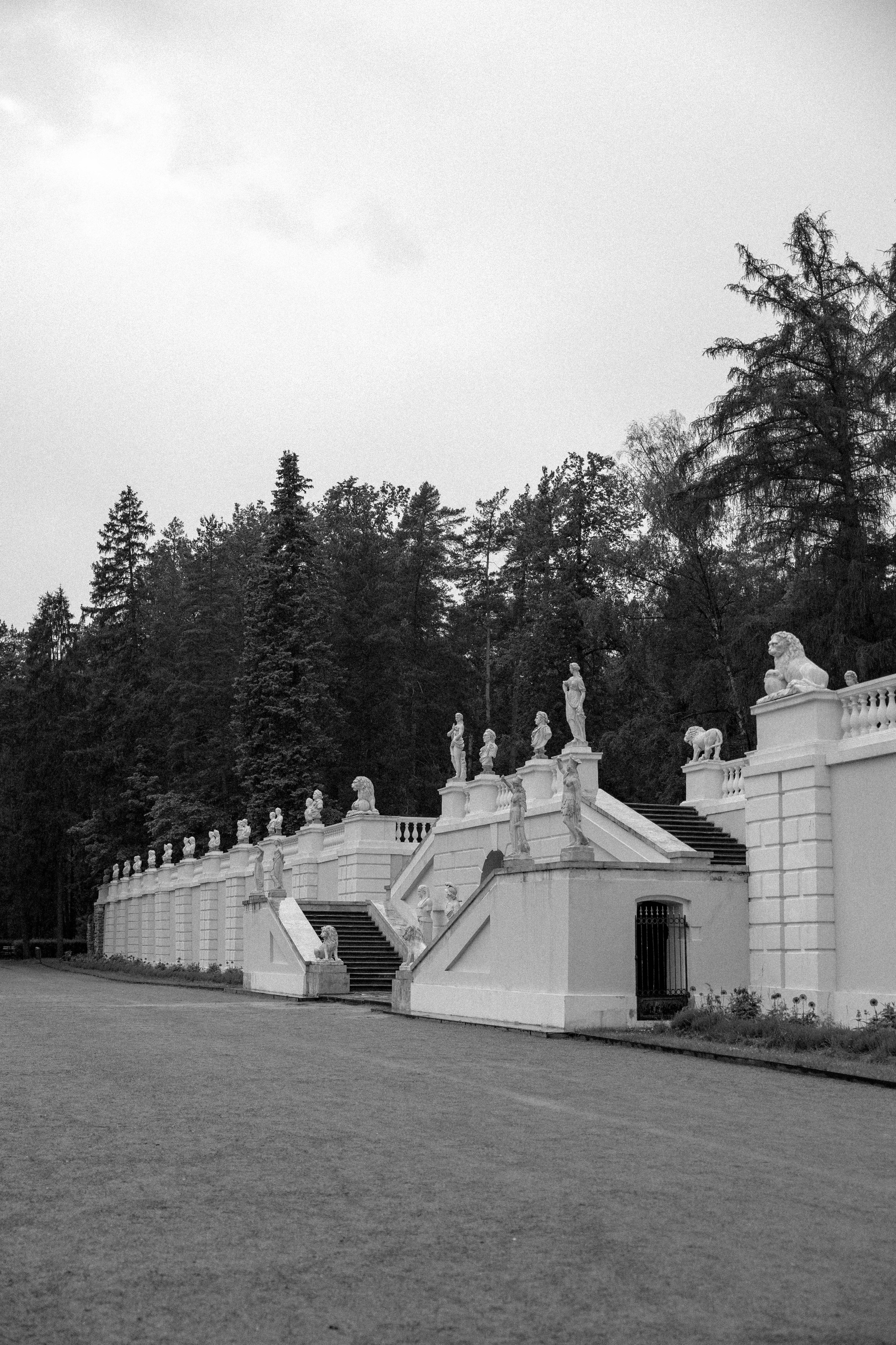 Николай и Патриция. Свадебный фотограф Полина Панина