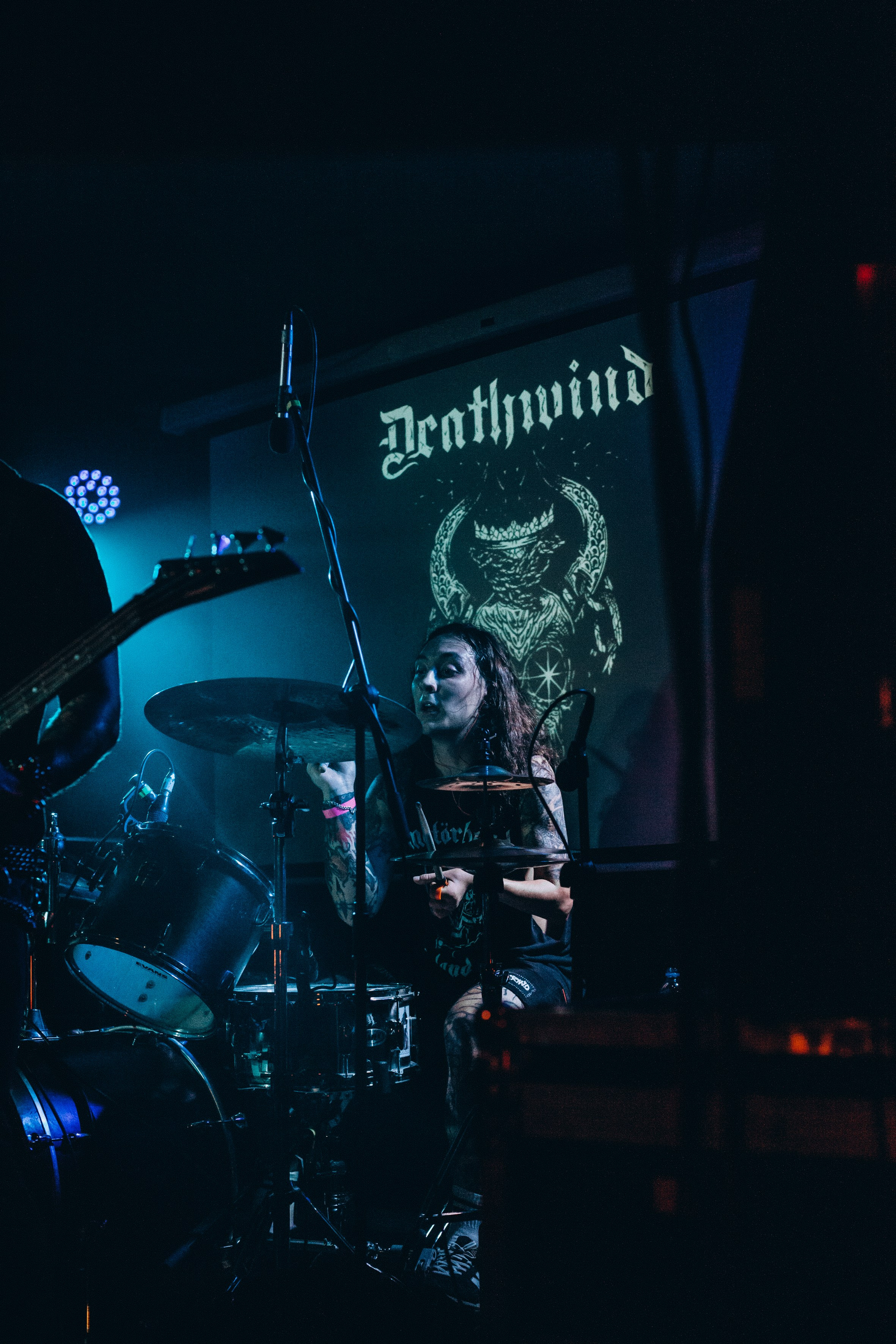 Презентация альбома Vendel и Ко. Портретный и репортажный фотограф в Москве, Ольга Ларема