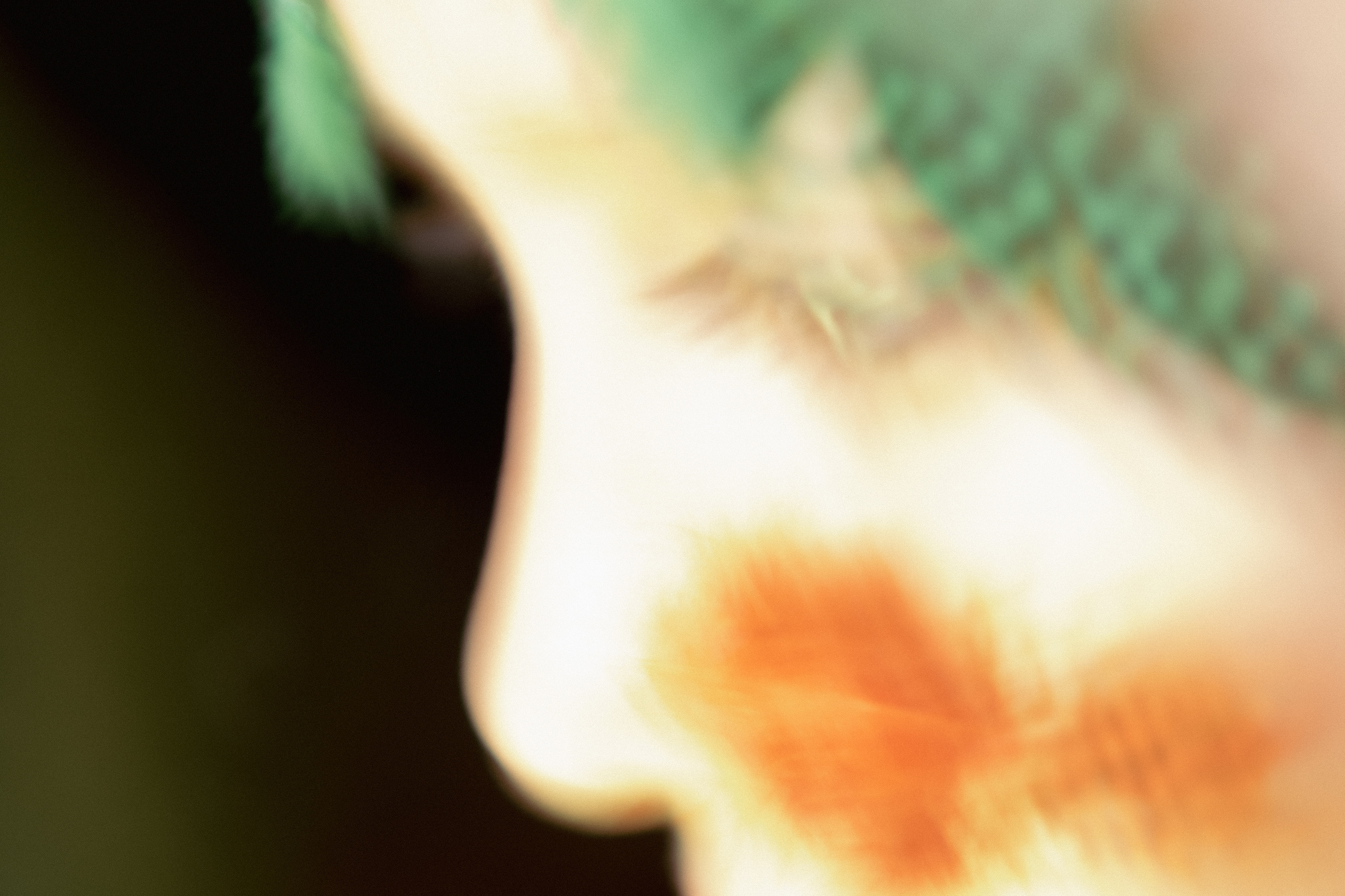 Арт фотограф и визуальный художник Марина Черепович