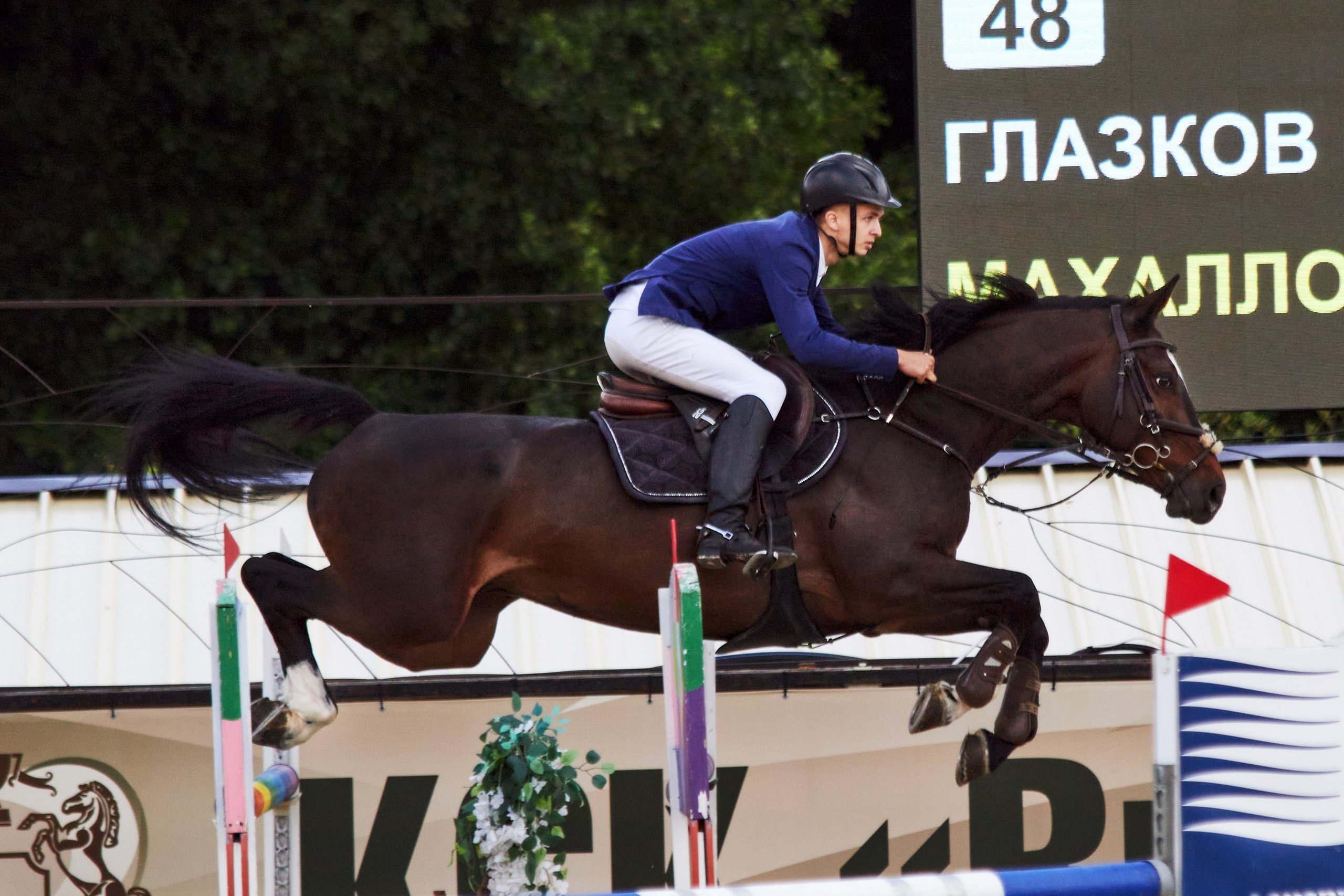 Конкур в «Виват, Россия». Фотограф анималист — Тула, Москва