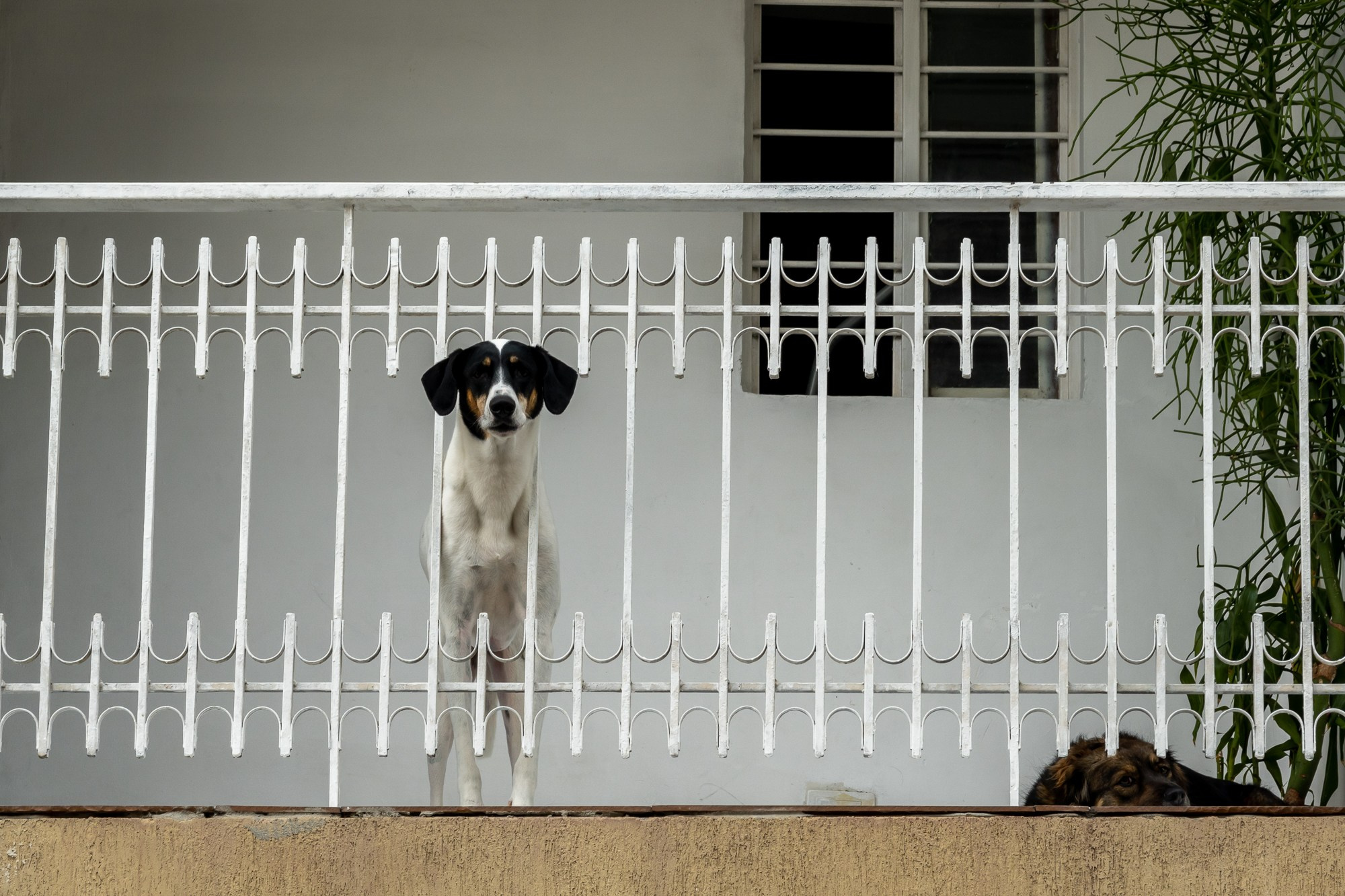 Фотограф Алексей Скоробогатько. Колумбия, г. Кали. Photographer Alexey Skorobogatko. Cali, Colombia. Фотограф Алексей Скоробогатько