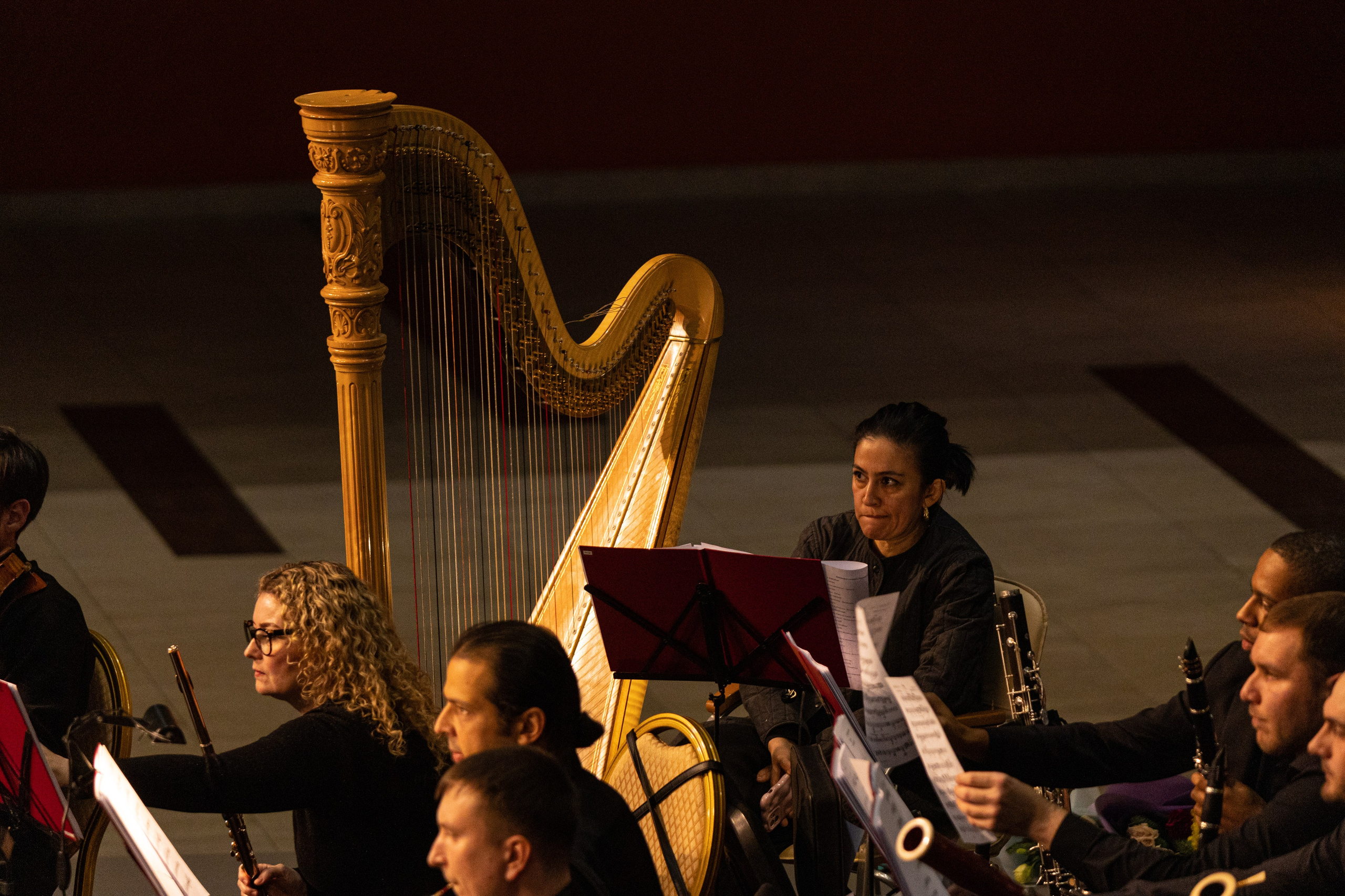 Оркестр приморской сцены Мариинского театра в ДВФУ. Олег Катакинов| Репортажный фотограф в городе у моря (Владивосток)