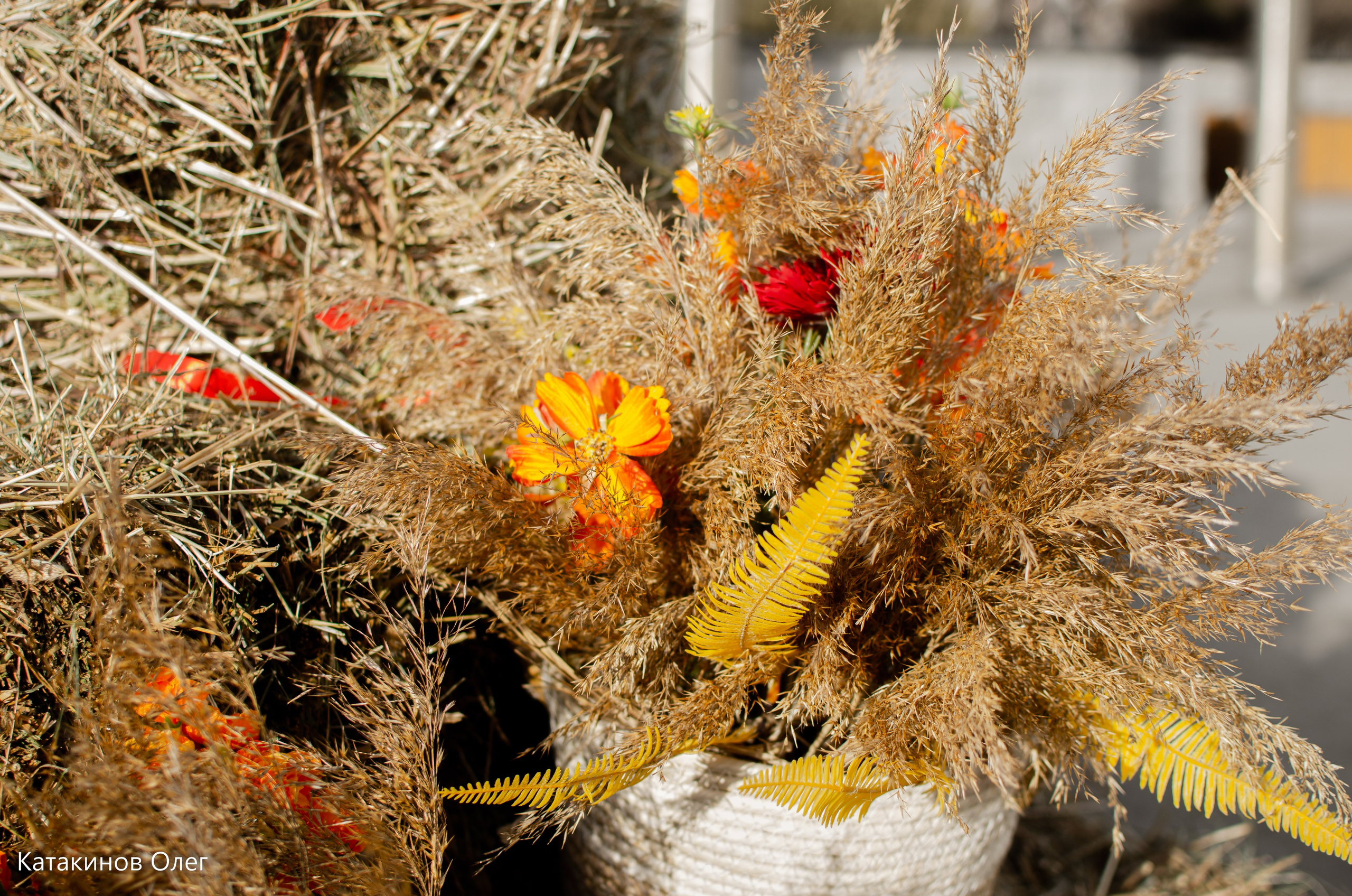 Масленица 2024. Олег Катакинов| Репортажный фотограф в городе у моря (Владивосток)