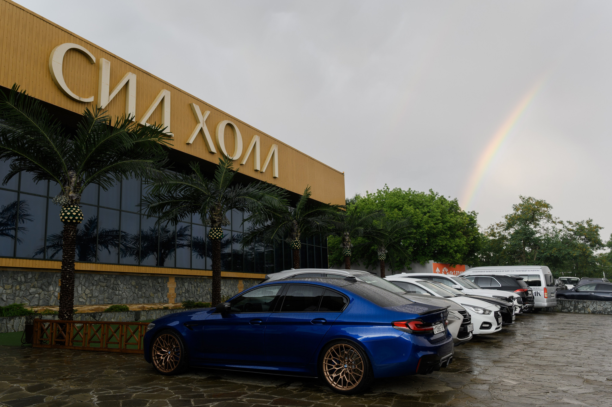 Красивое сватовство со звездами в Сид Холе в Пятигорске! ТВИНС СТУДИО. ТВИНС СТУДИО — лучшие свадебные фотографы и видеографы в Краснодаре