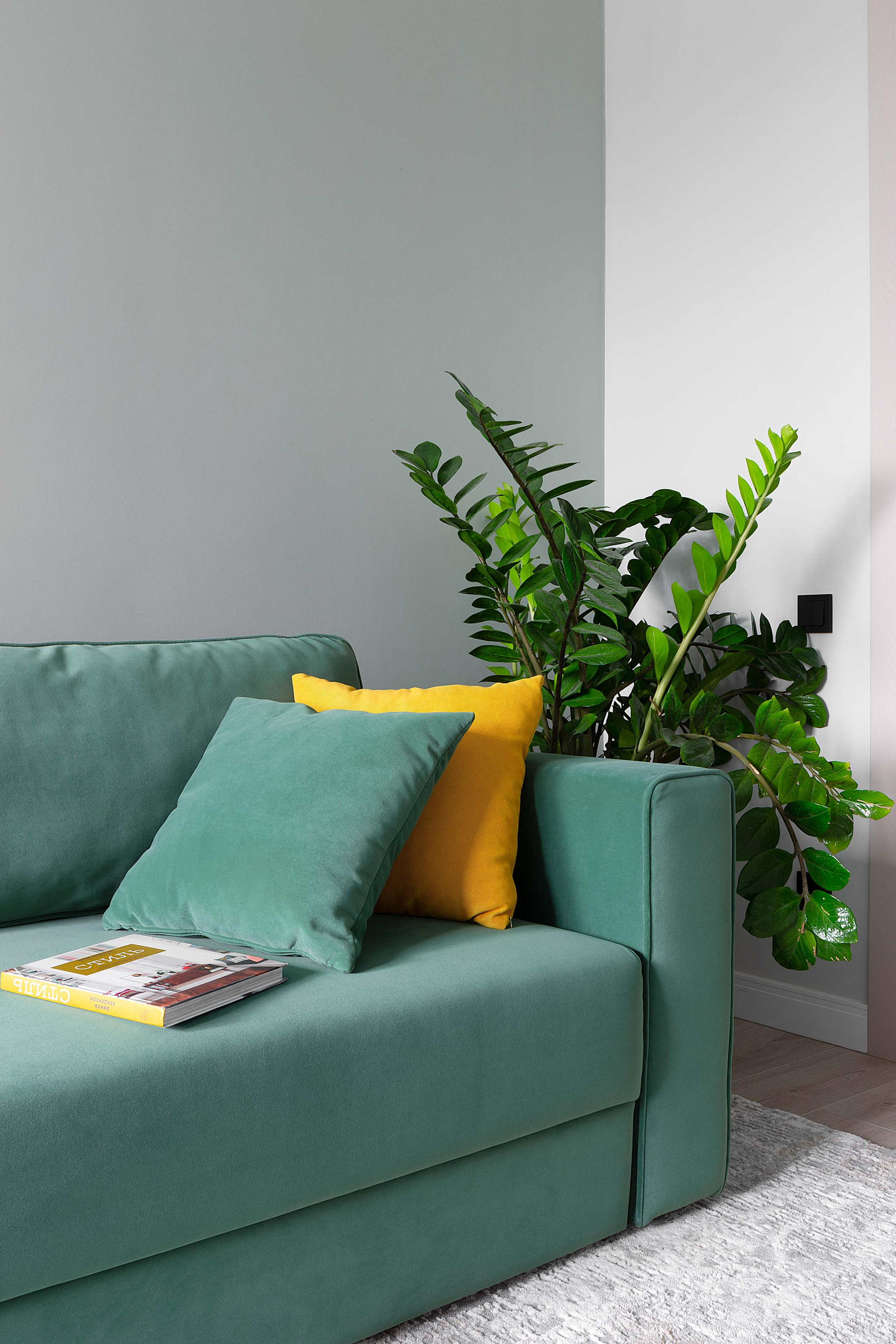 Интерьерная съёмка Алматы