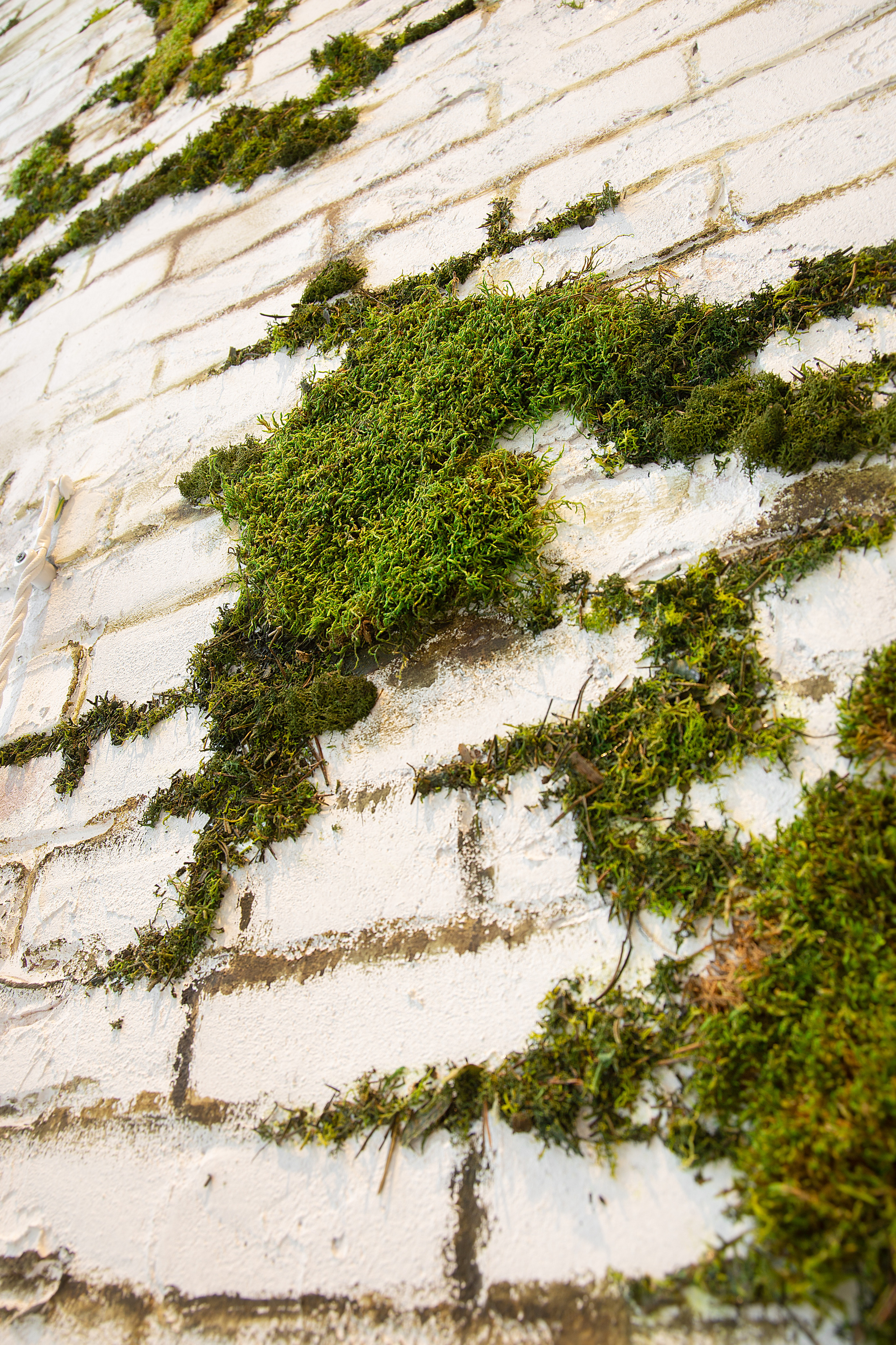 Decor Artu — Q Coffee Shop Premium. Roman Yakunin — interior photographer in Almaty, Kazakhstan