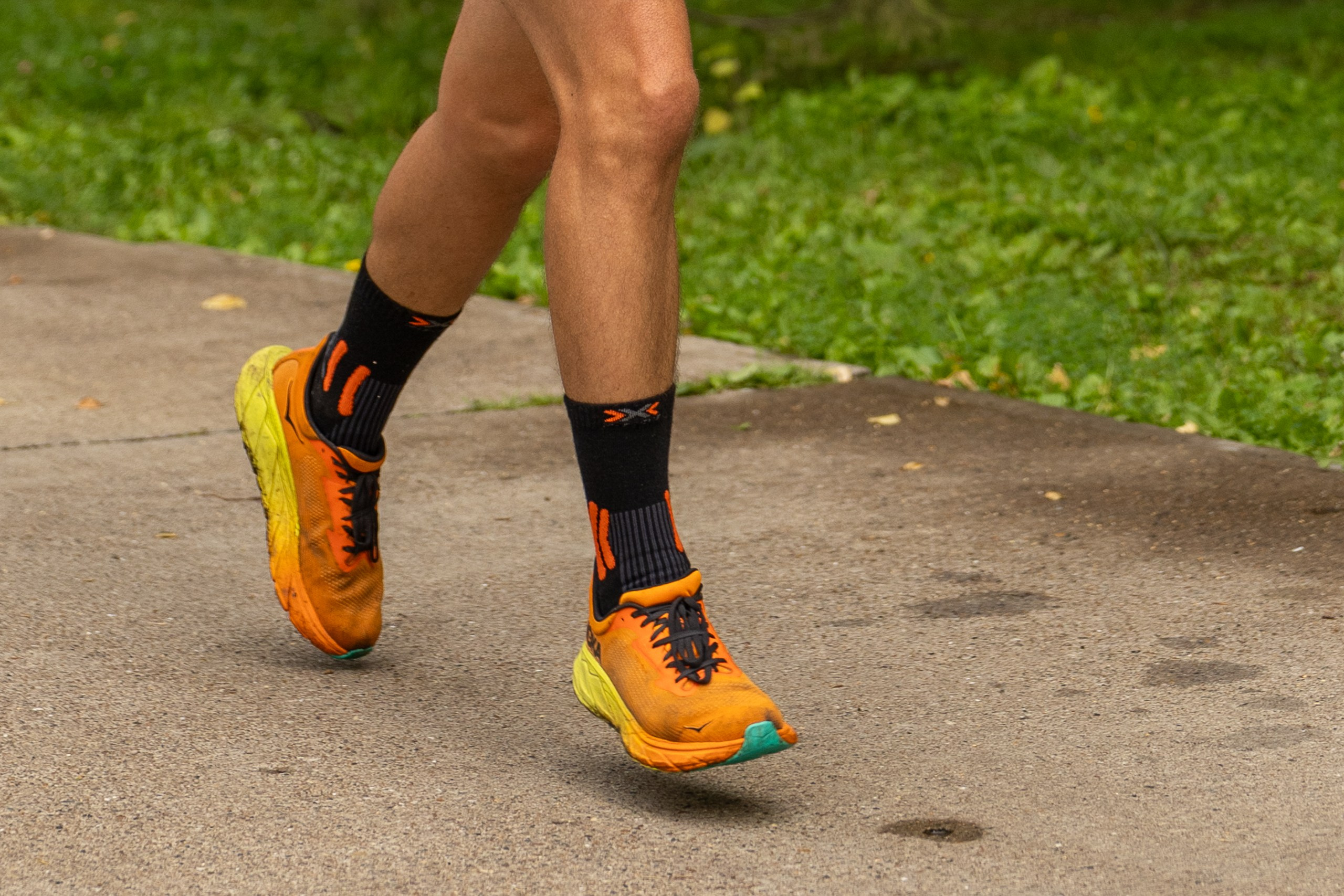 Беговой клуб 5 вёрст. 23 августа 25. Главная