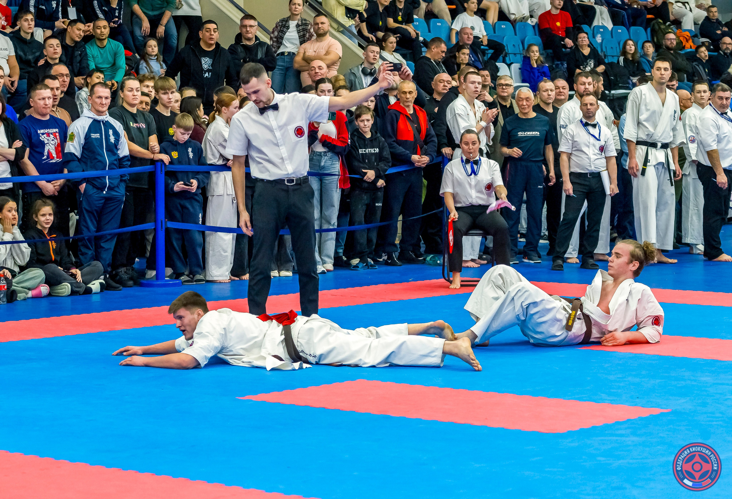 Международный турнир по киокушин «Открытый кубок Seiken». Репортажная съемка в Москве и области. Анималистика