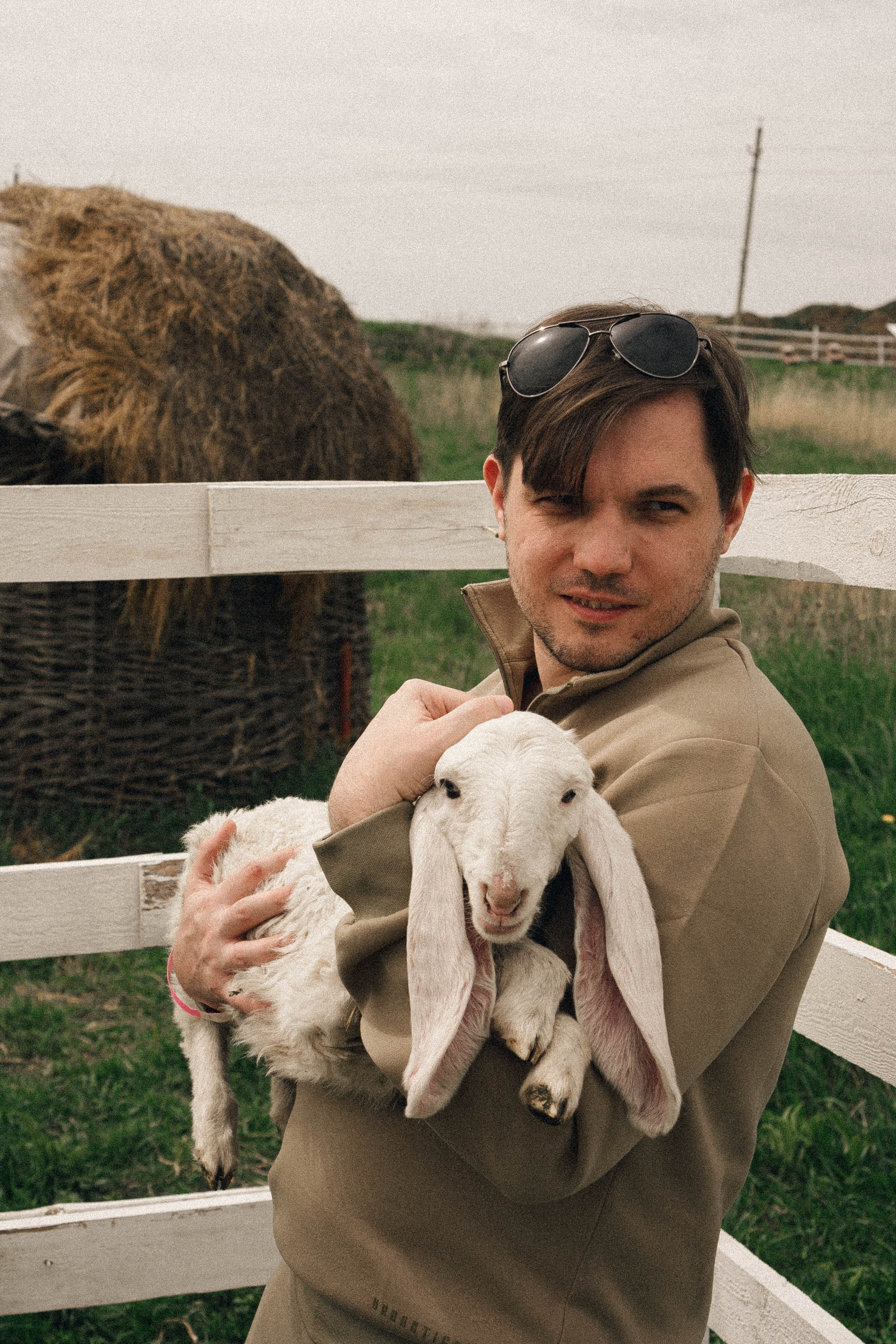 Ферма Альпак. Профессиональный фотограф, Санкт-Петербург — Виктория Богомолова