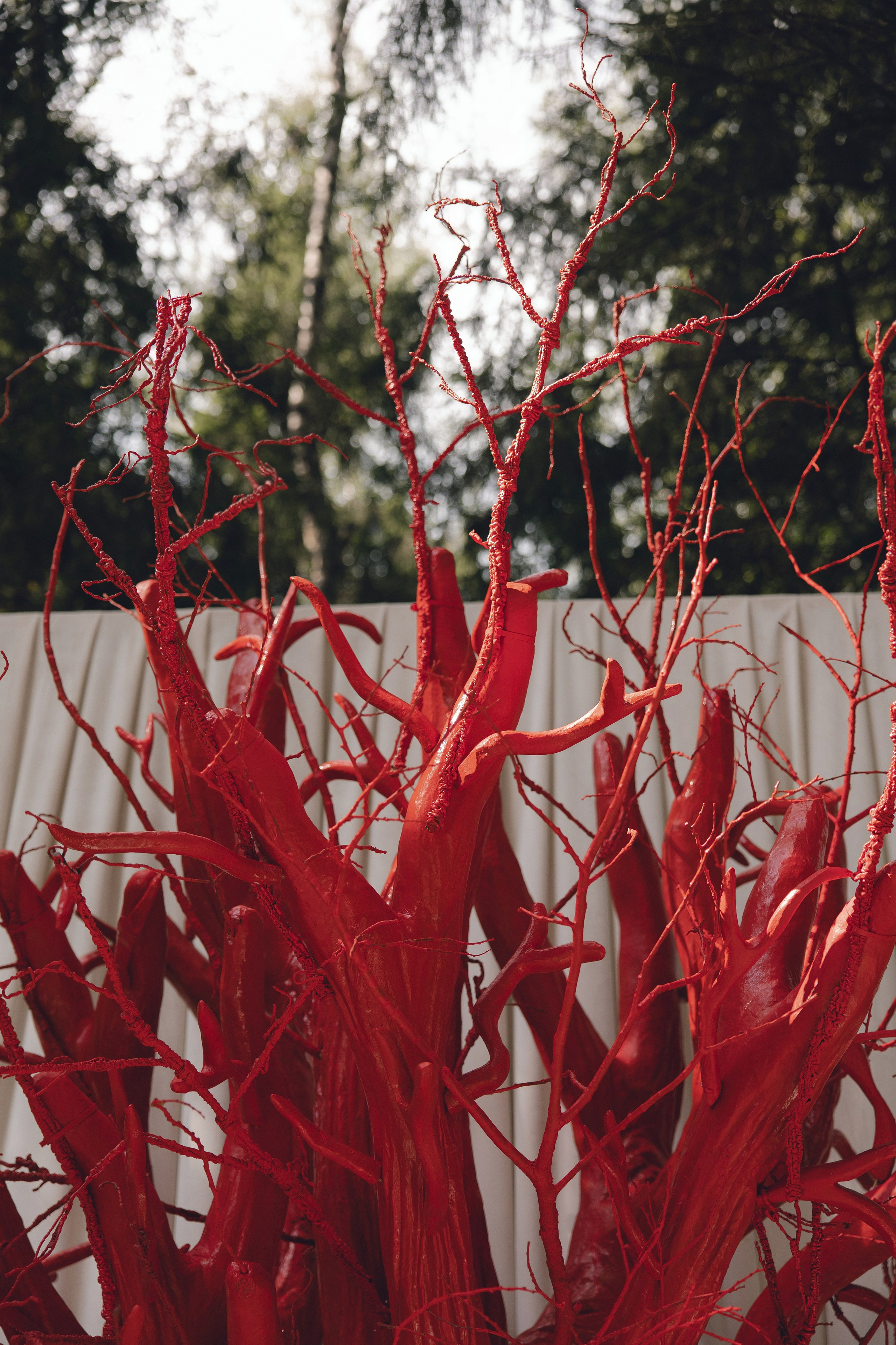 ТЫ — МОЙ ПУЛЬС