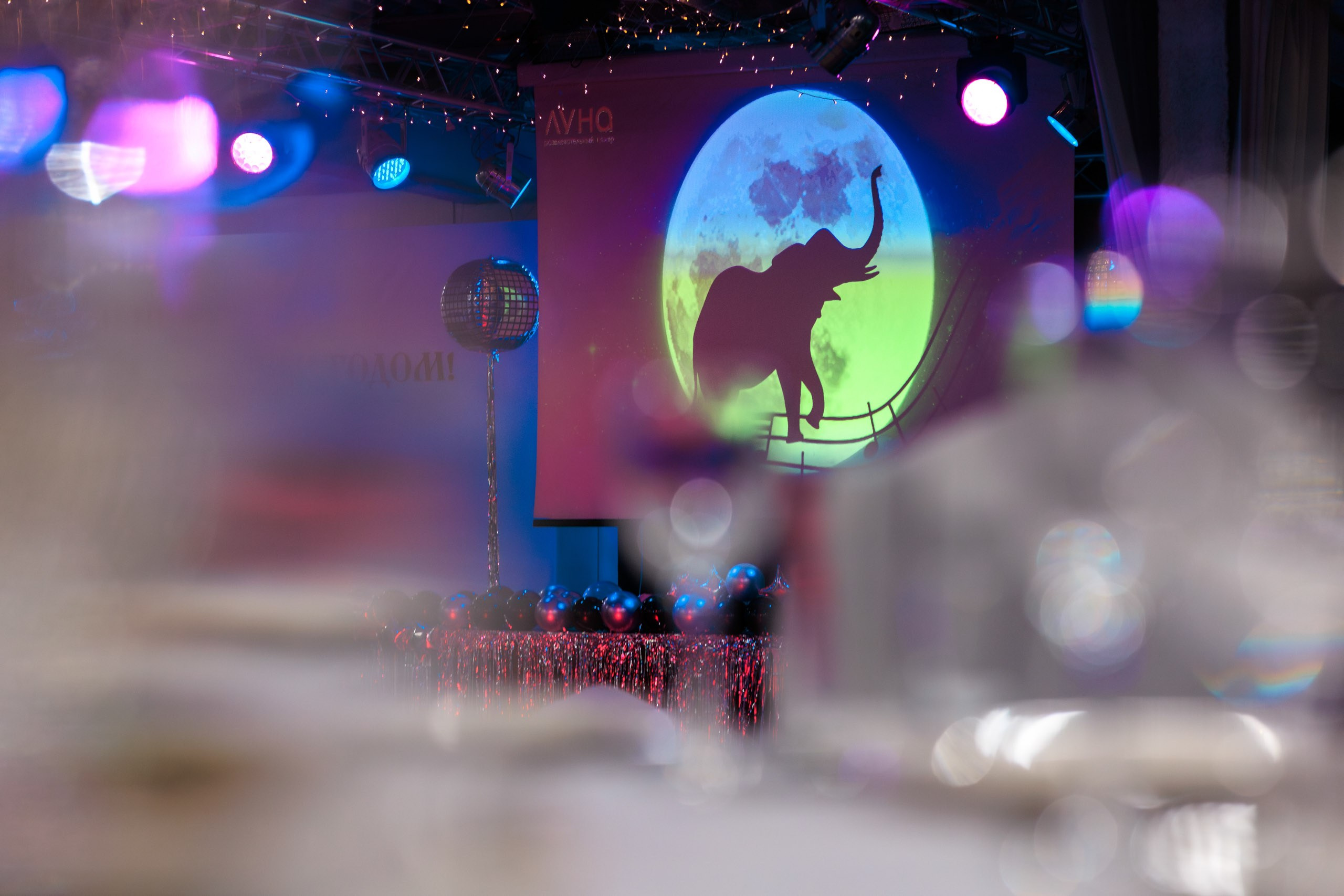 Слон электроникс | Новогодний корпоратив. Репортажный фотограф Екатеринбург | Яркий, качественный репортаж | Концерты, клубы, репортаж, праздники, корпоративы