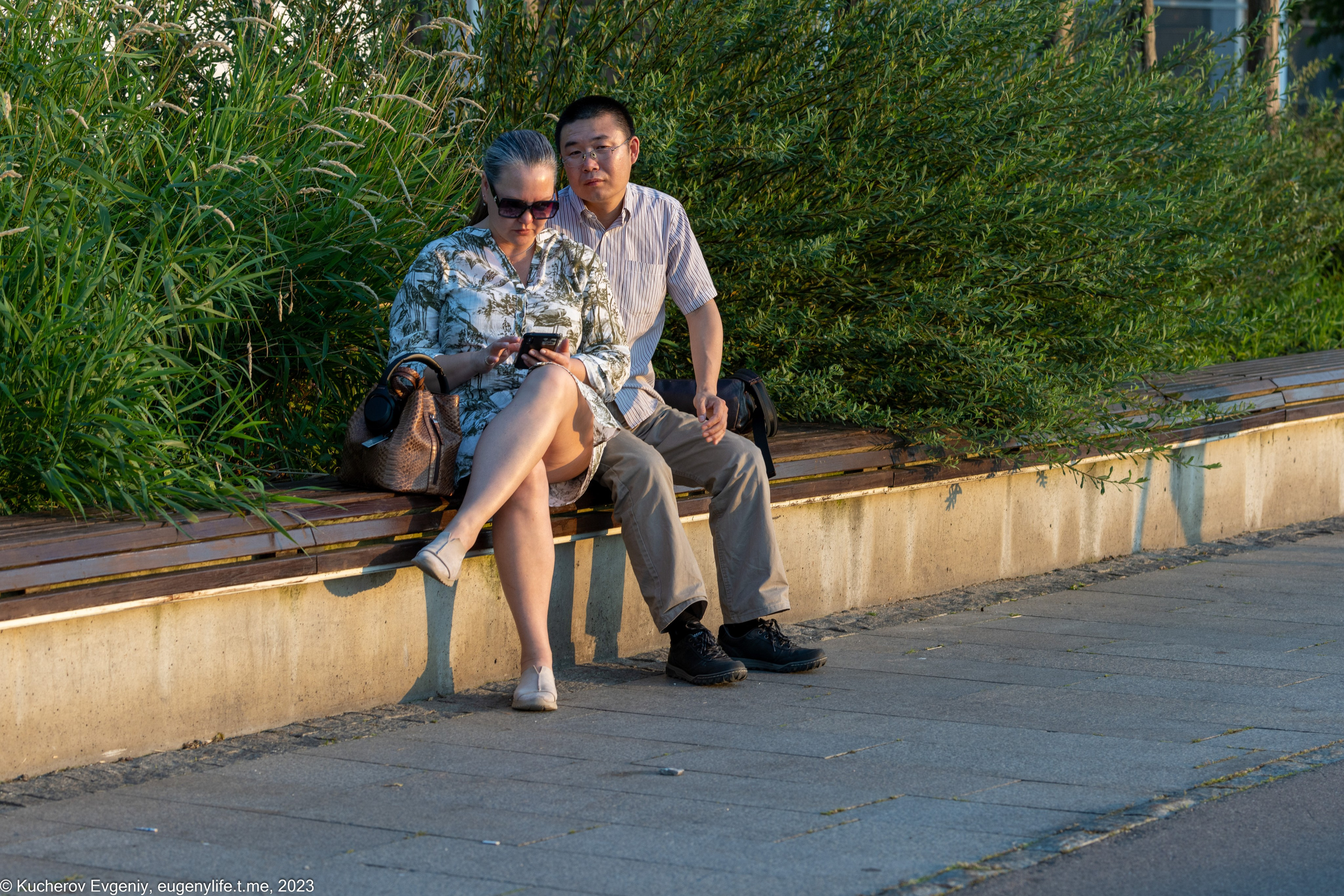 Скамейки. Кучеров Евгений. Фотограф