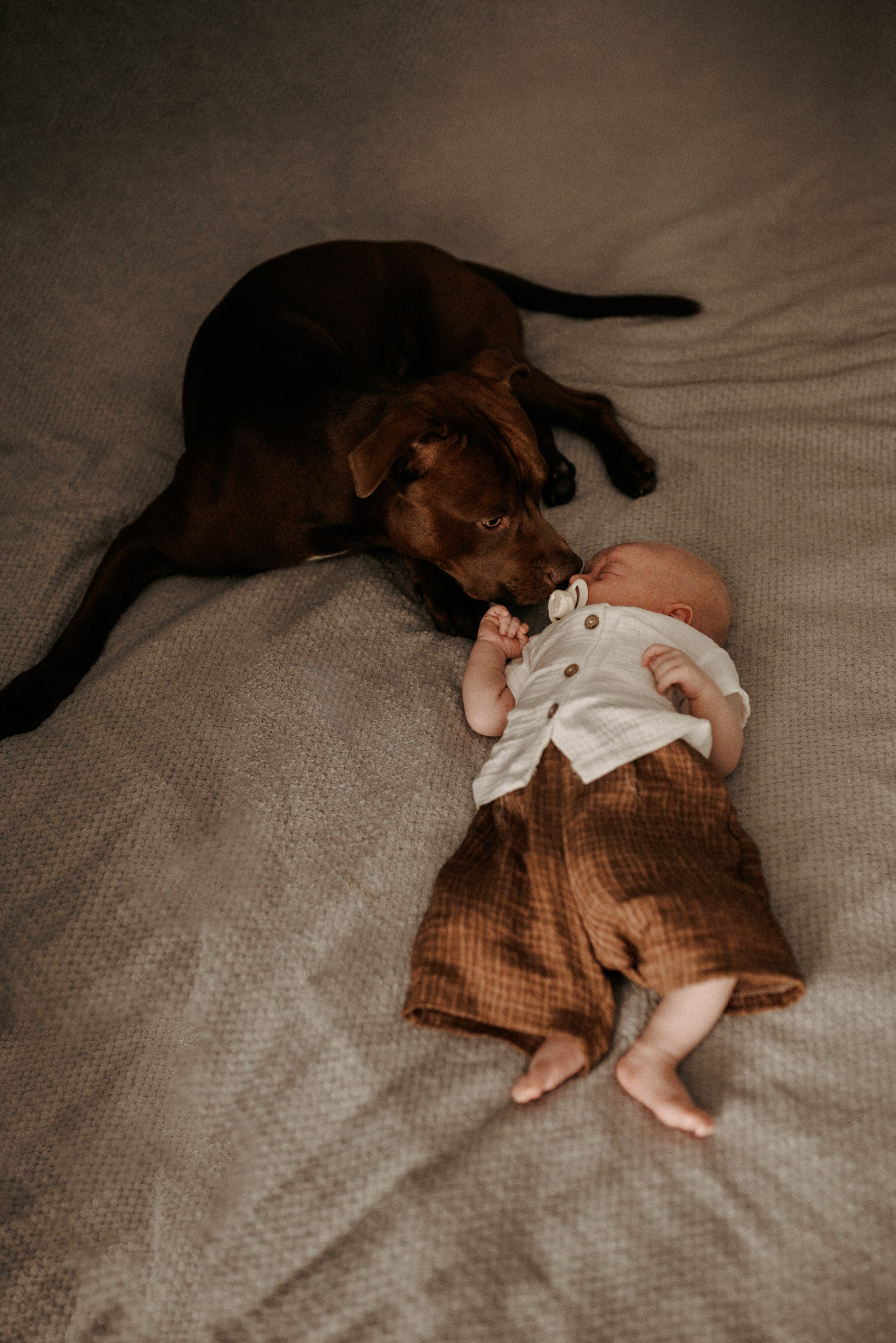 Я родился! ♥  Фотосессия новорожденного дома. Семейный фотограф ЕЛЕНА ШАФИГУЛИНА