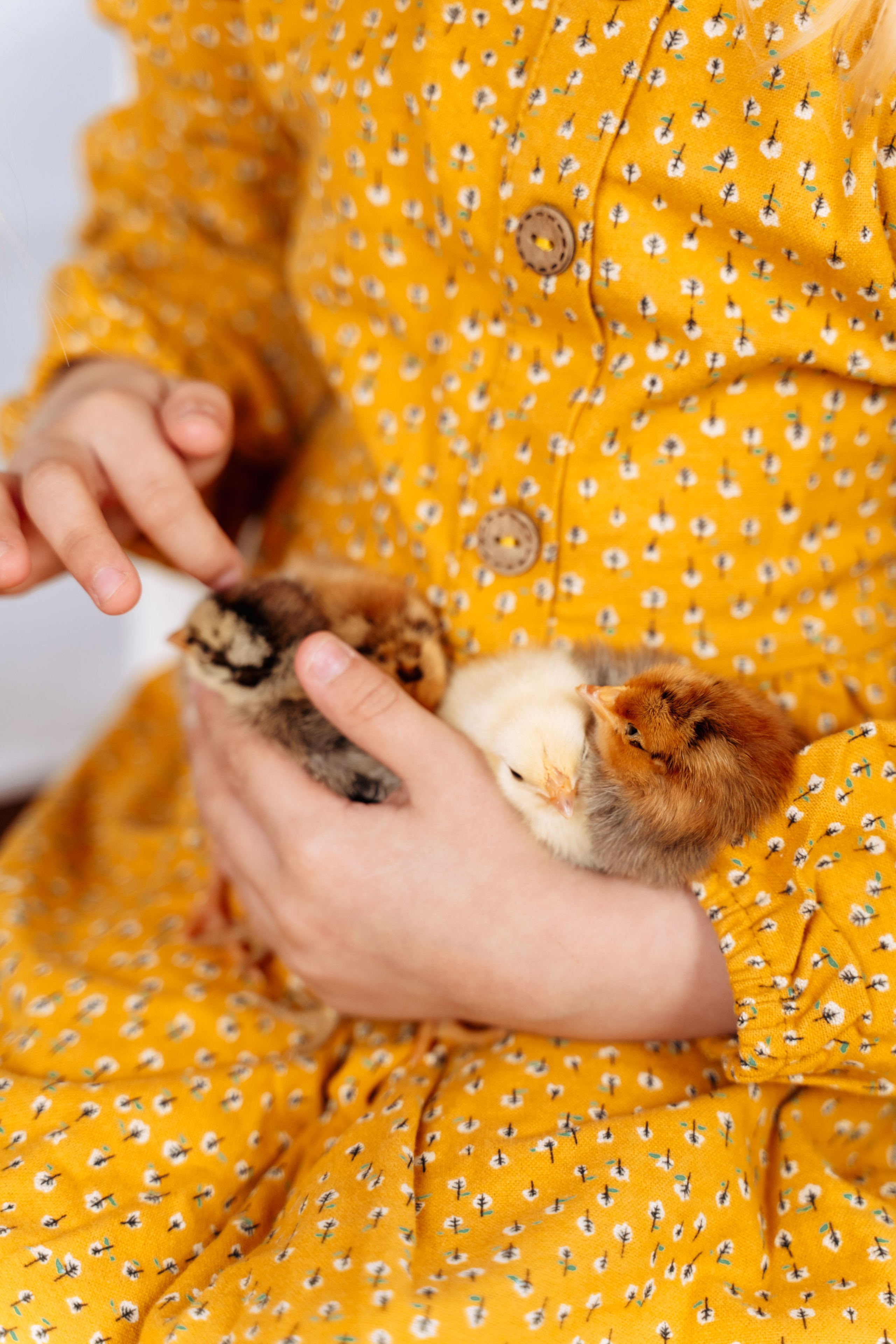 Пасха. Семейный фотограф Новочеркасск