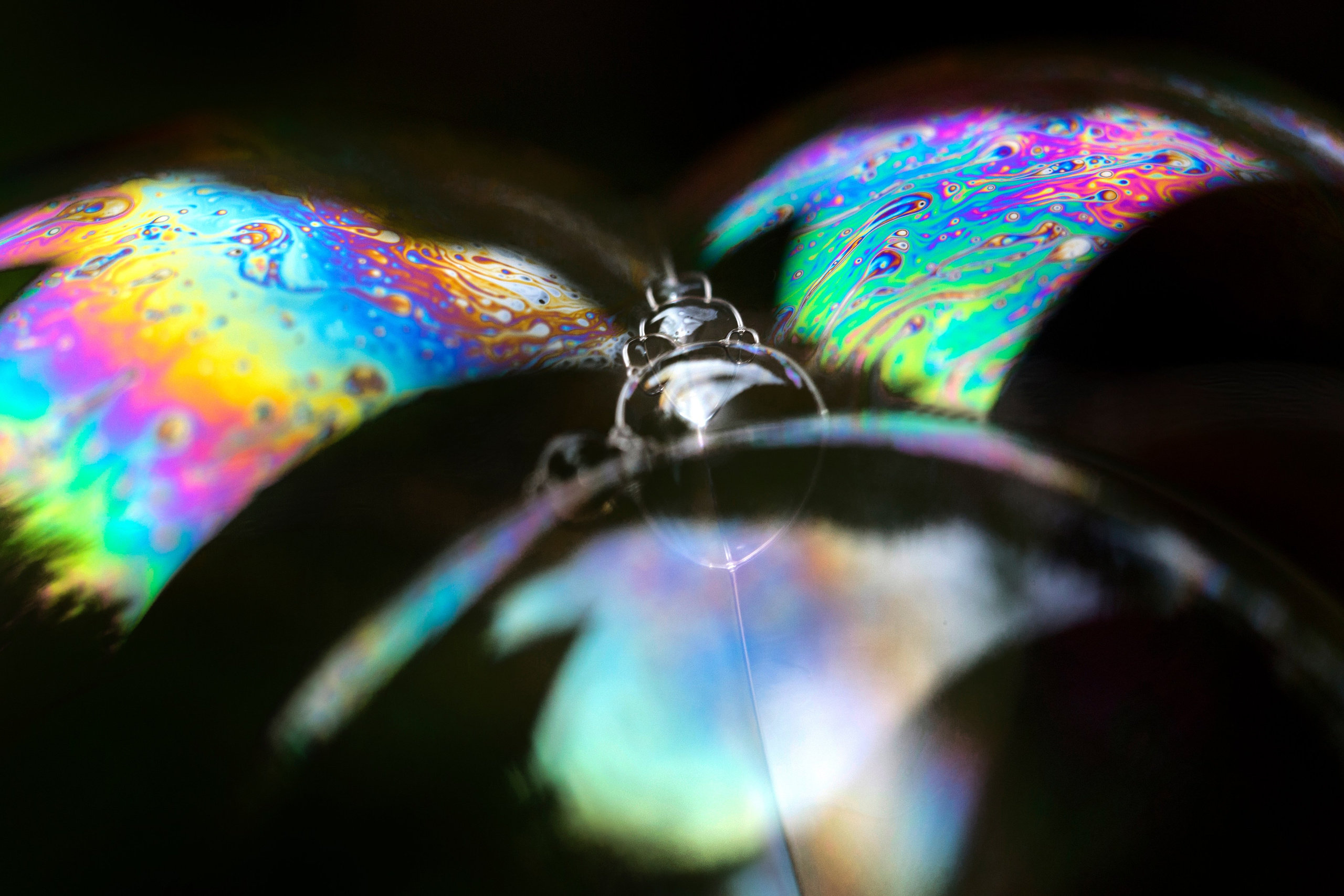 Макро. Фотограф Лагутин Анатолий