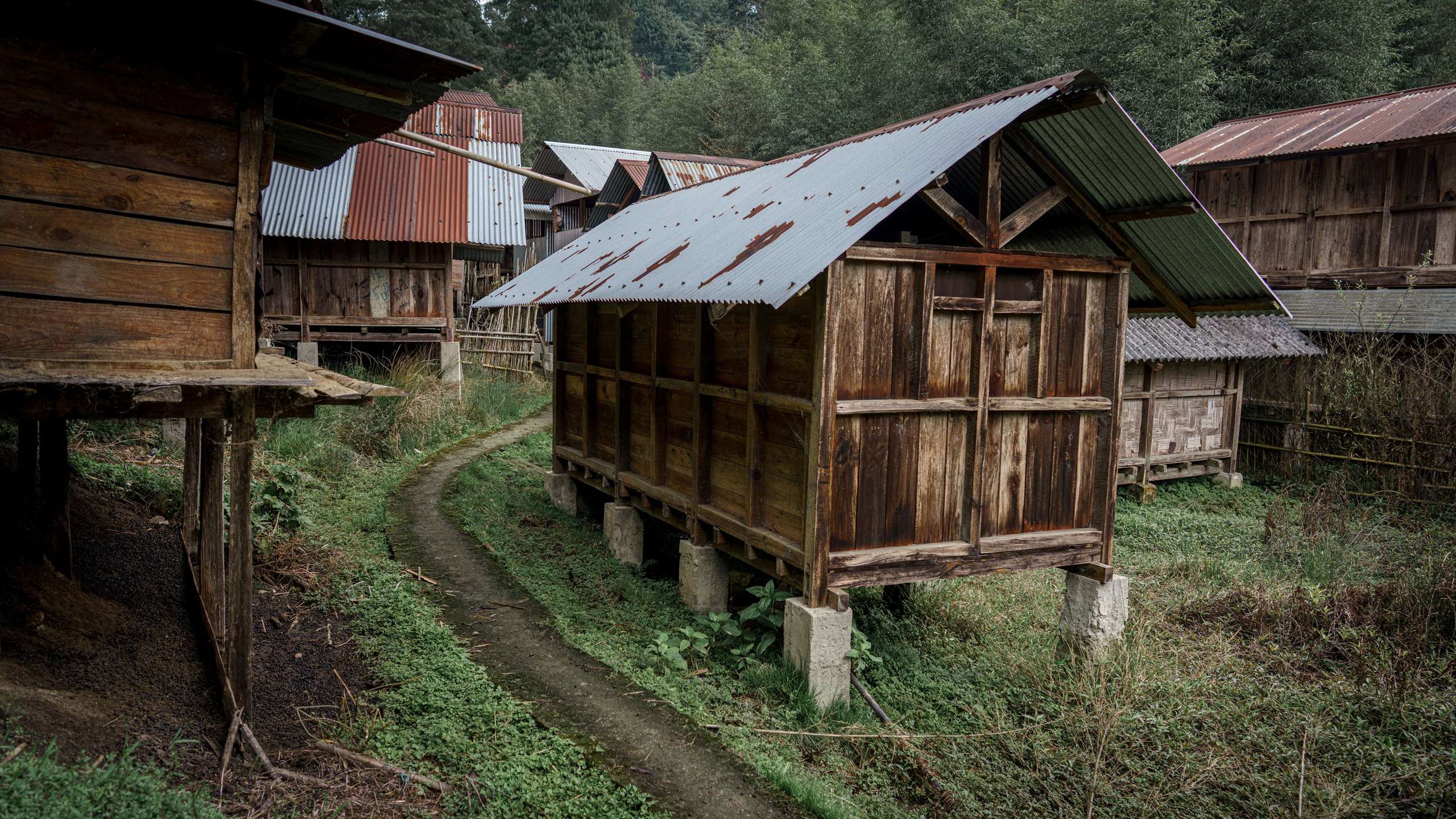 India travel. Фотограф Сергей Танков