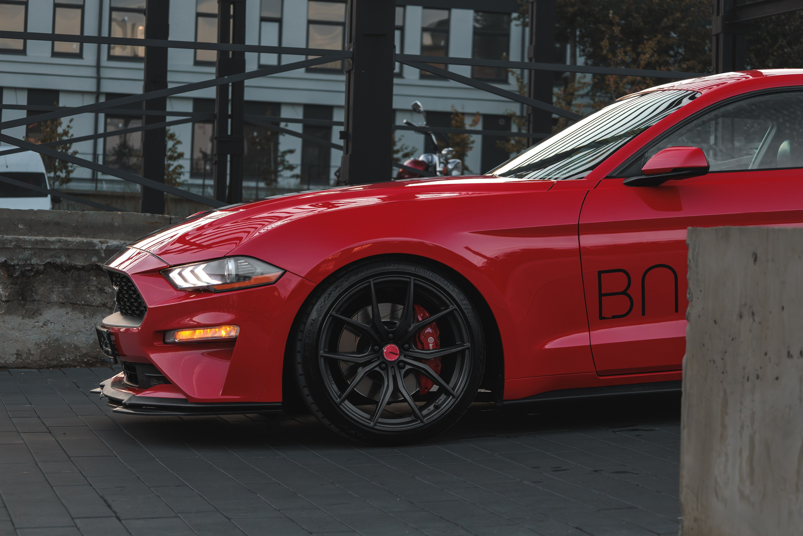 Mustang. Мелехов Дмитрий|Фотограф|Видеограф