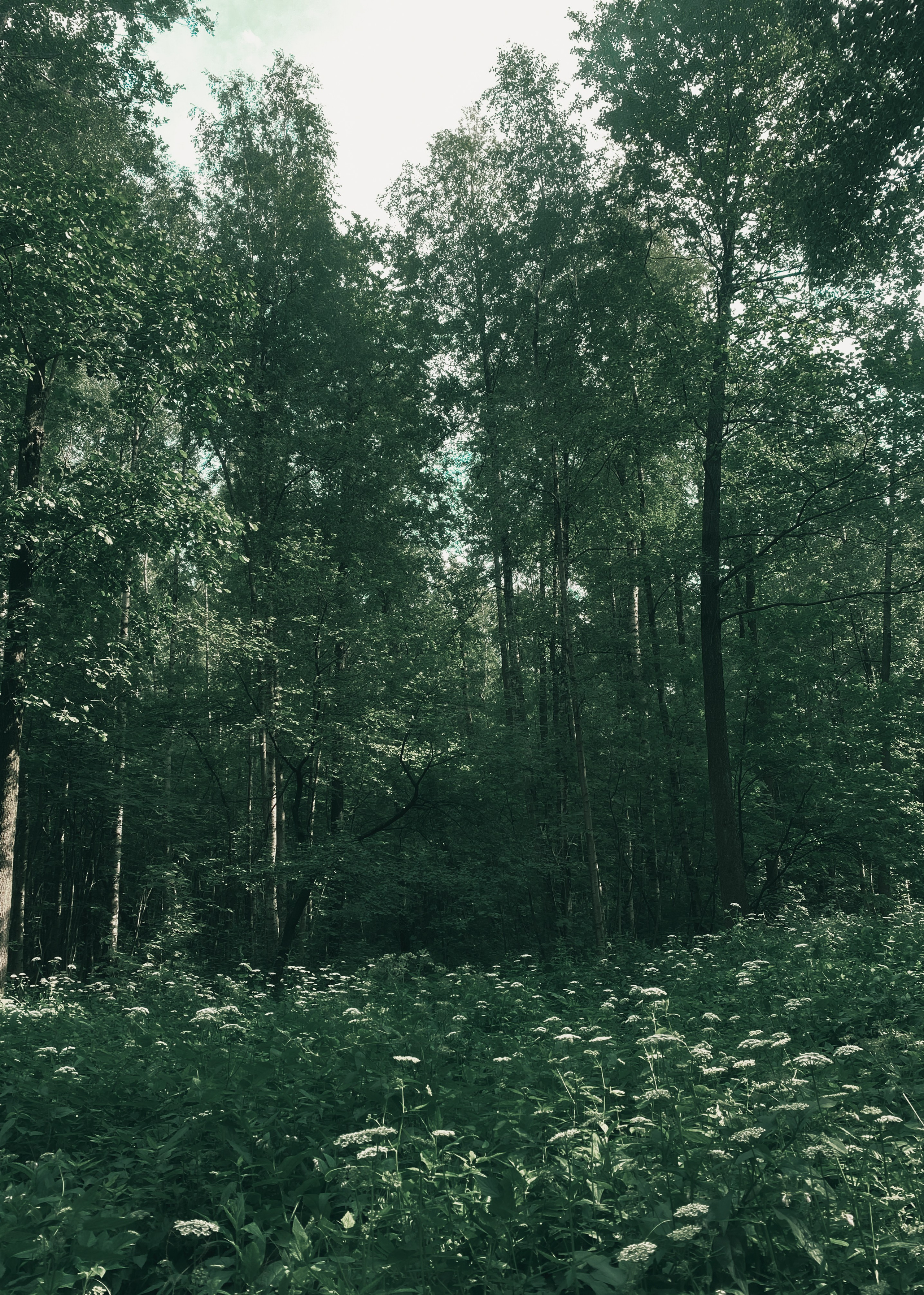 Питер. Портретный фотограф DanilNabody