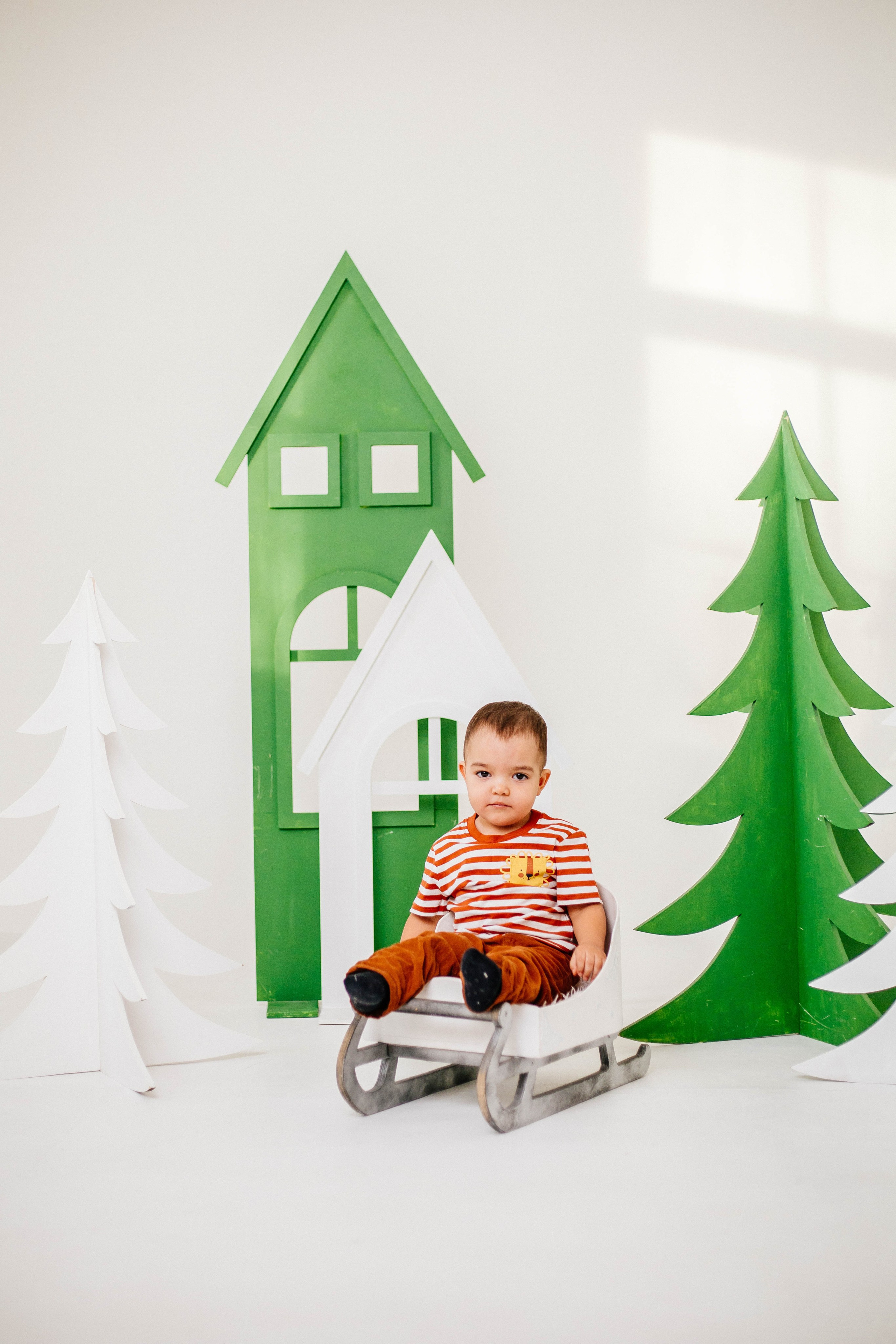 Лев с семьей. Рыжова Тамара