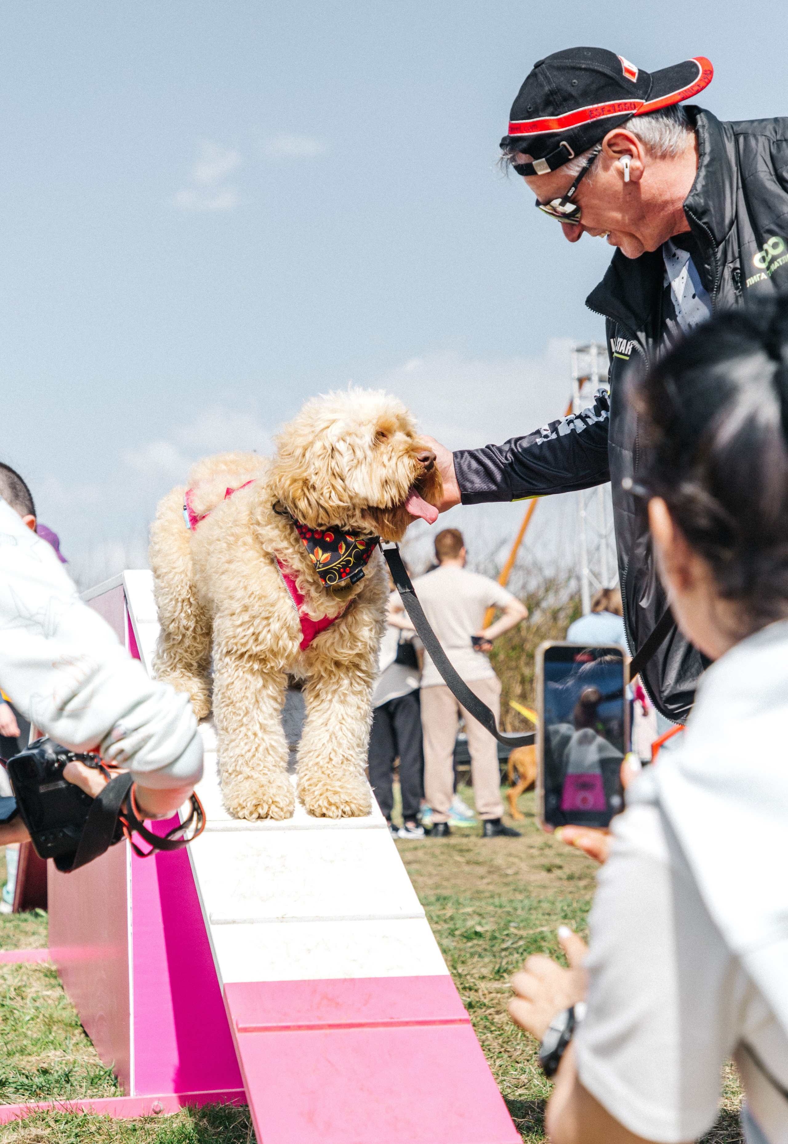 Кросс «Быстрый пёс» 2025. Репортажный фотограф в Москве