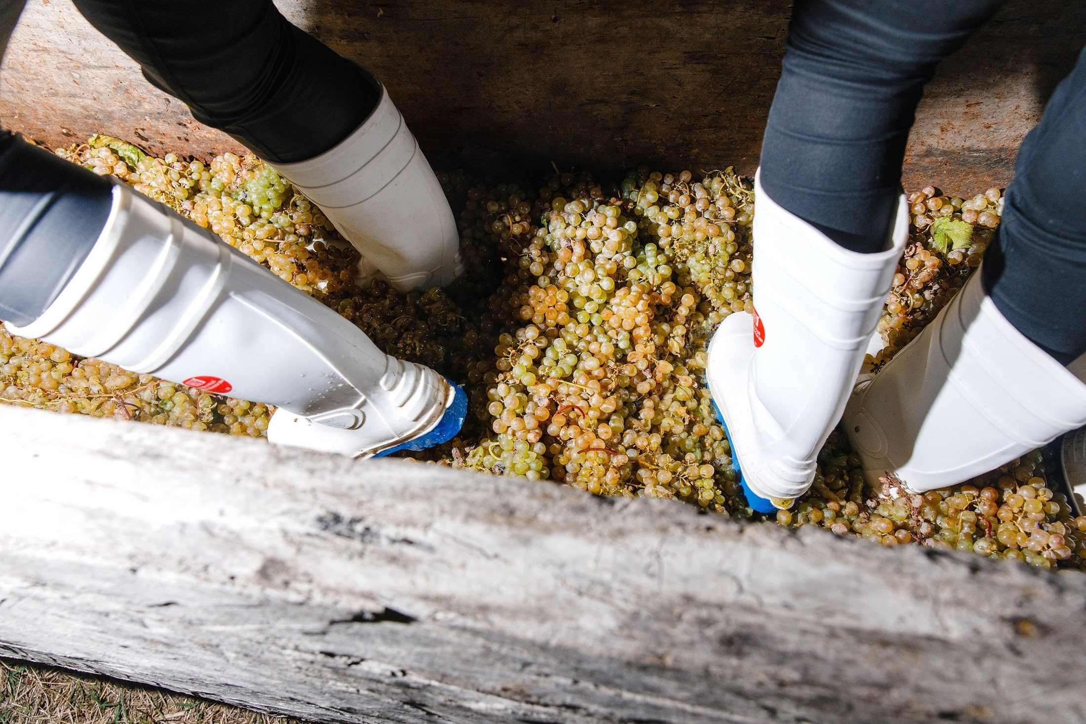 Максим и Алена. Свадебный фотограф в Москве и МО Александр Ласковенков