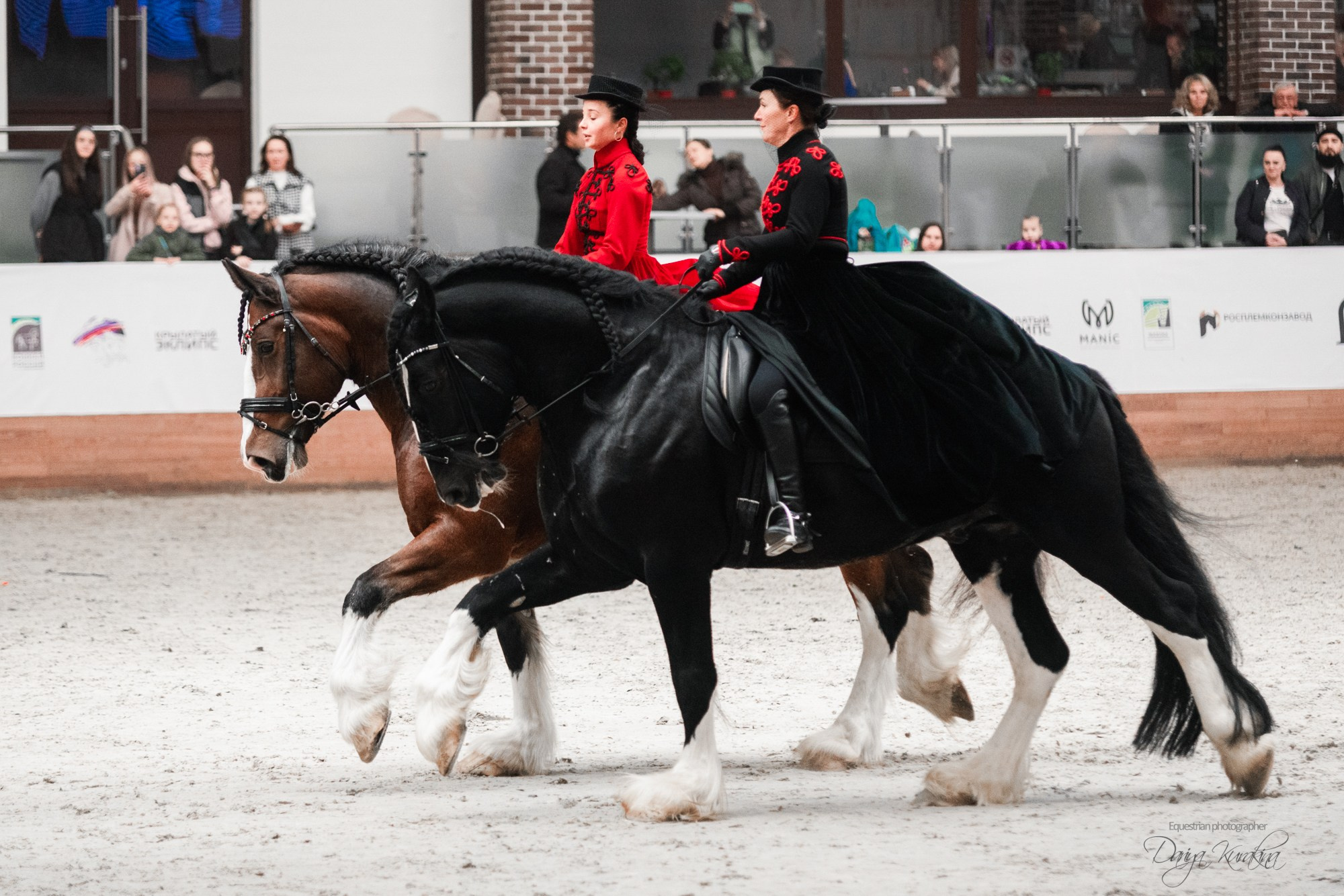 8-я международная выставка Конная Россия. Конный фотограф Куракина Дарья • Фотосессии с лошадьми