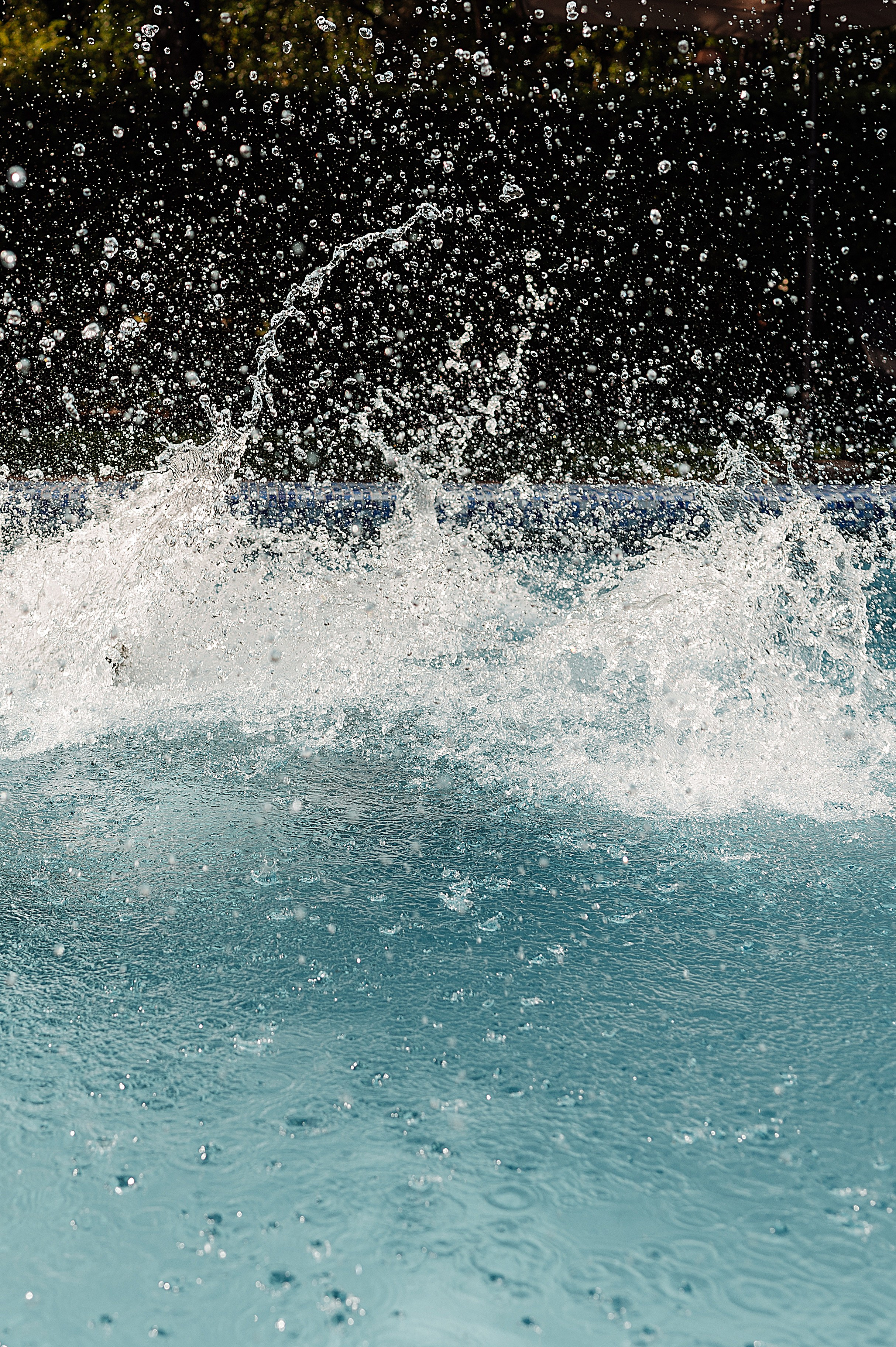 Максим и Лида. Свадебный и семейный фотограф в Ростове-на-Дону Алина Астахова