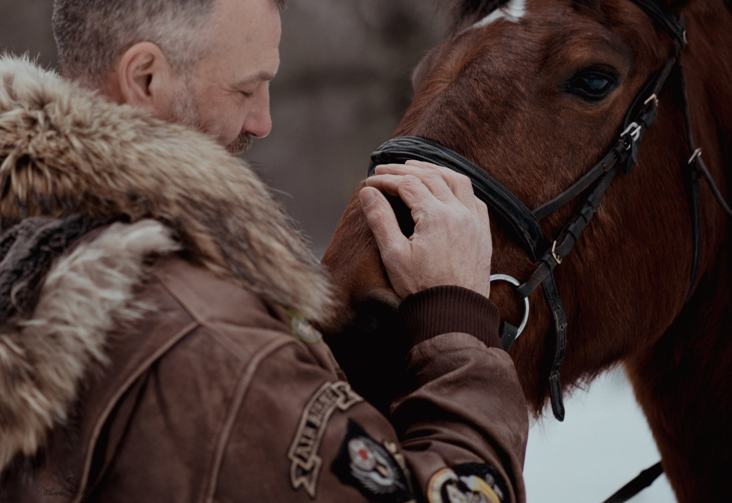 Дмитрий и Спартак. Конный фотограф в Саратове Юлия Иванова