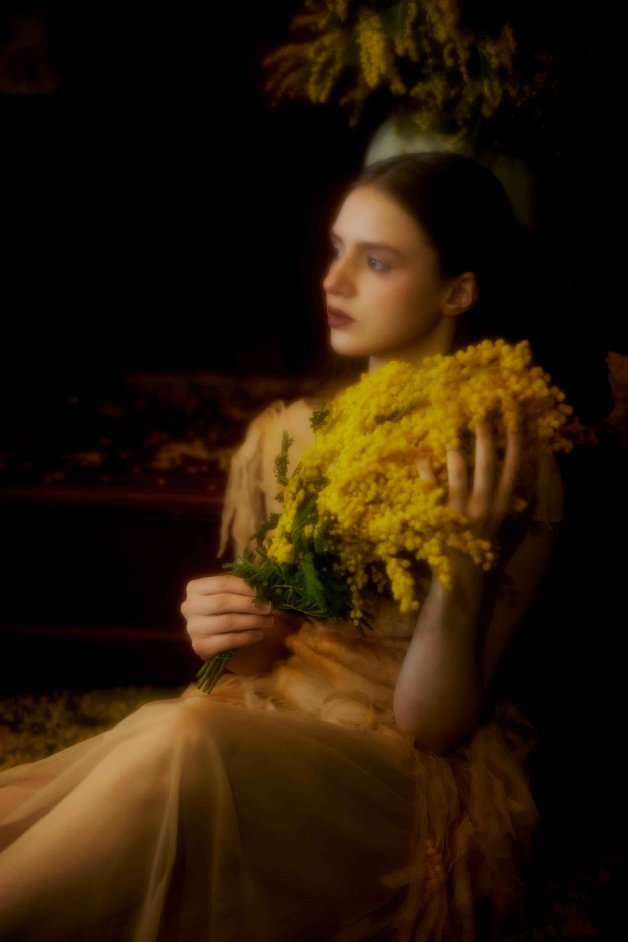 Мимоза. Сергей Ирклиенко