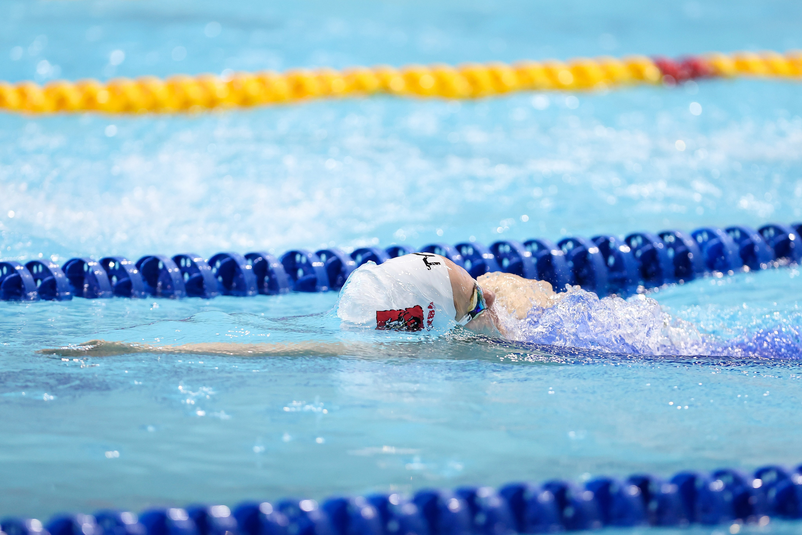 Чемпионат России по плаванию 25 м 20-25.11.2023. Спортивный и репортажный фотограф Антон Тереханов