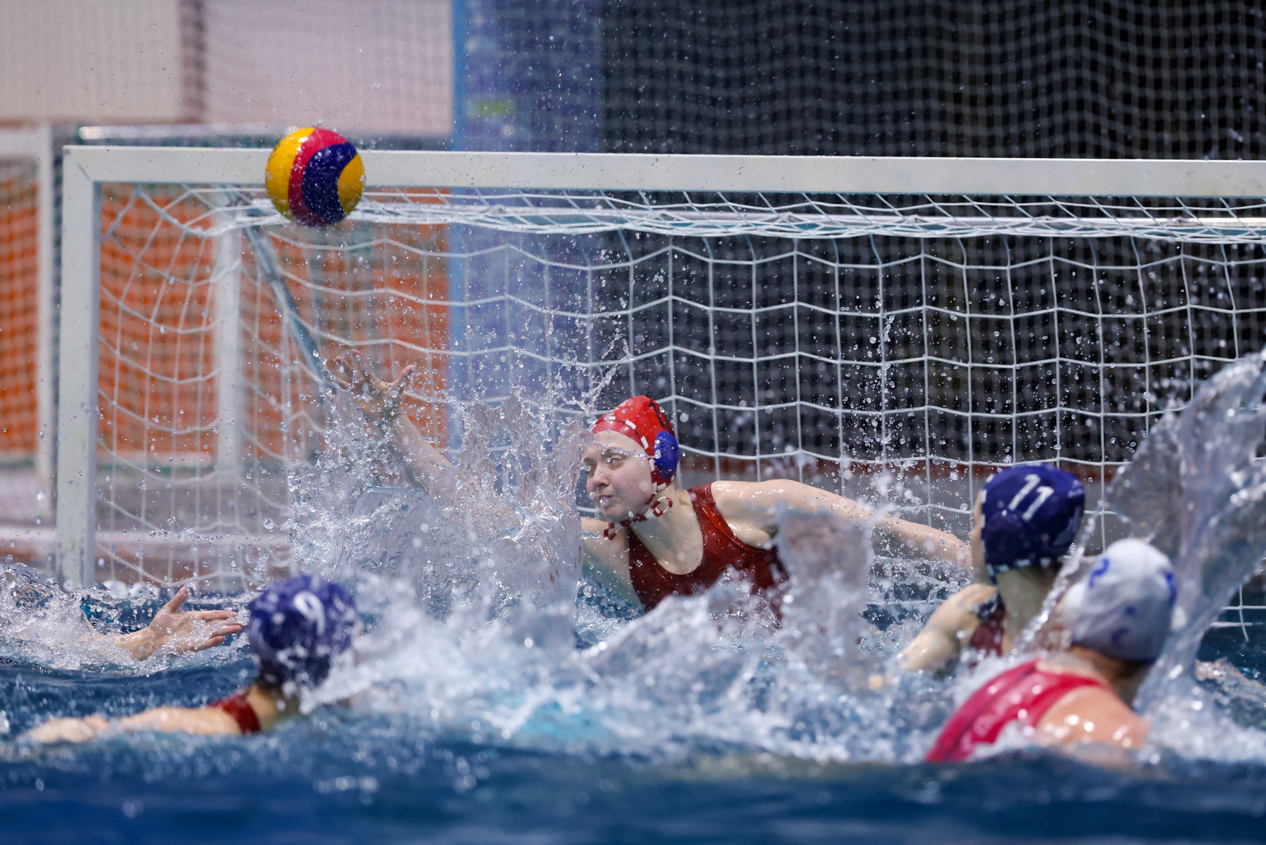 ВК «Диана» — ВК «Скиф-Восток» 24.01.2026. Спортивный и репортажный фотограф Антон Тереханов