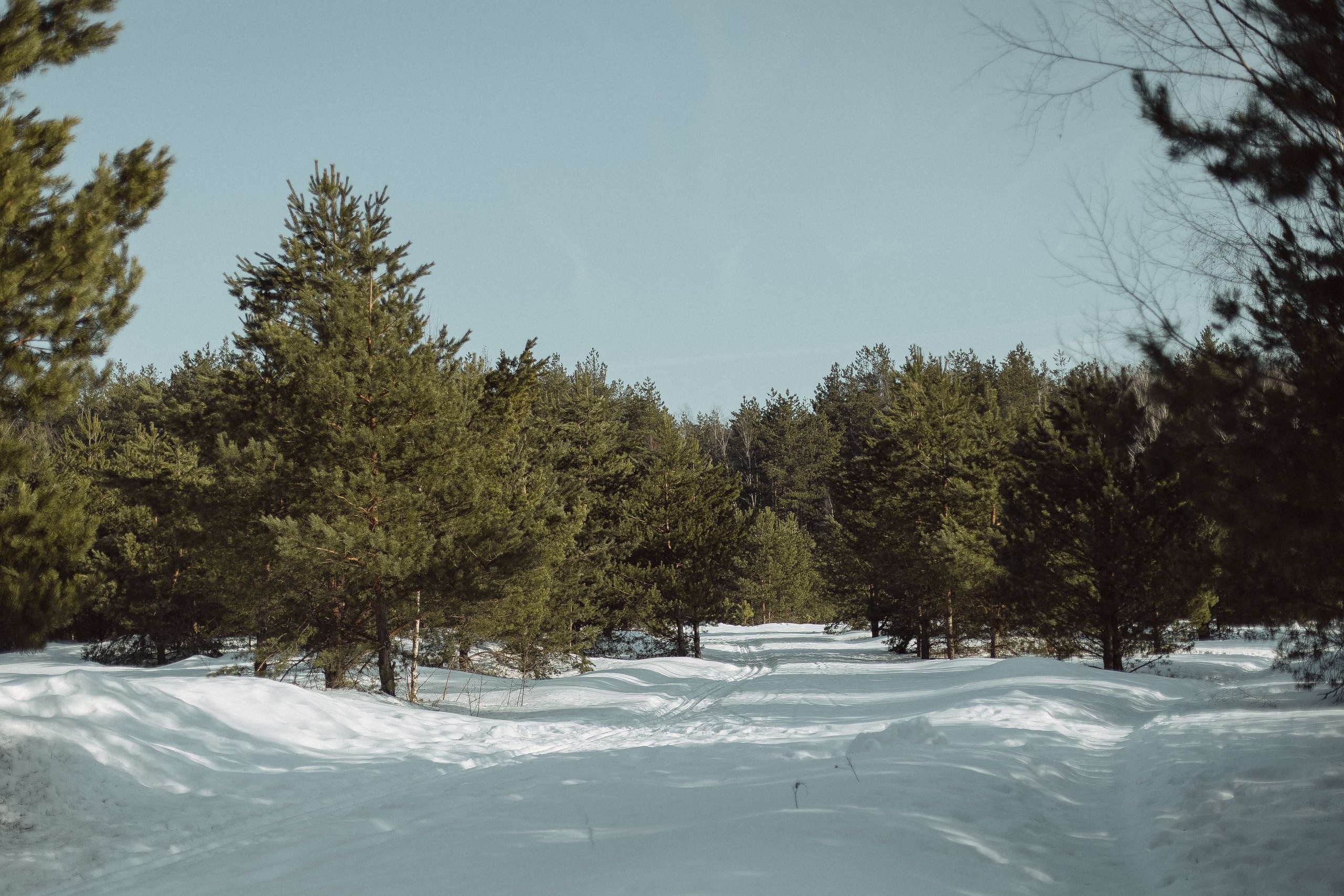 Экопарк ПОЛЯНЫ. Главная