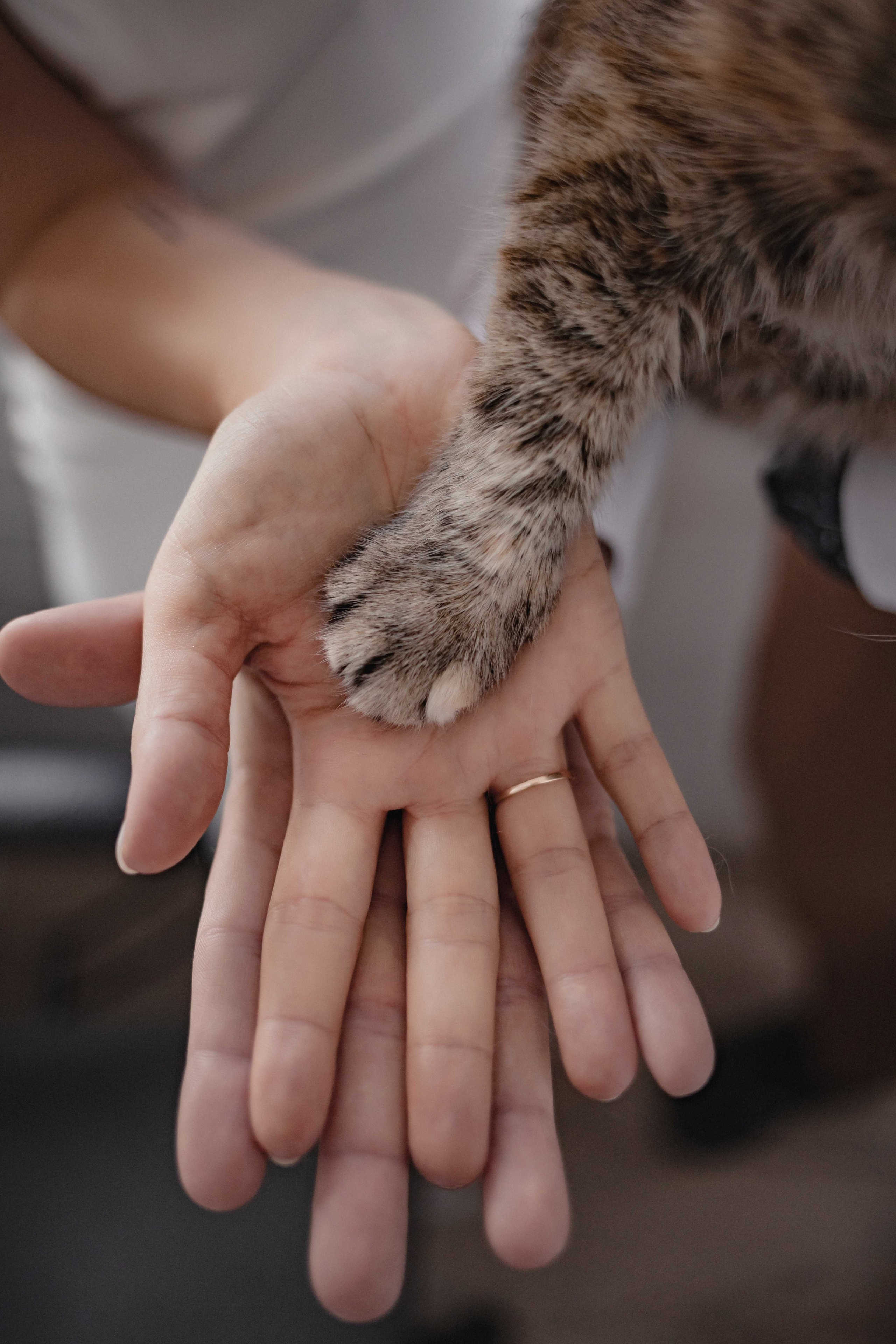 Дмитрий Евгения 15.09.23