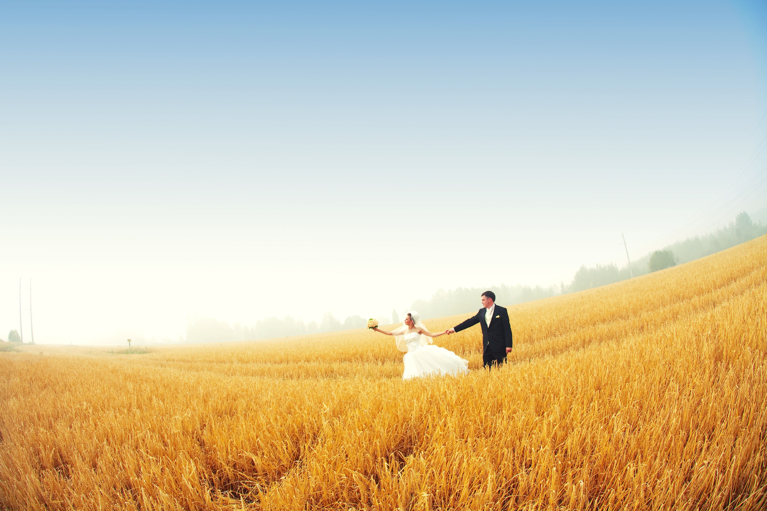 Свадьбы. Фотограф Алексей Архангельский