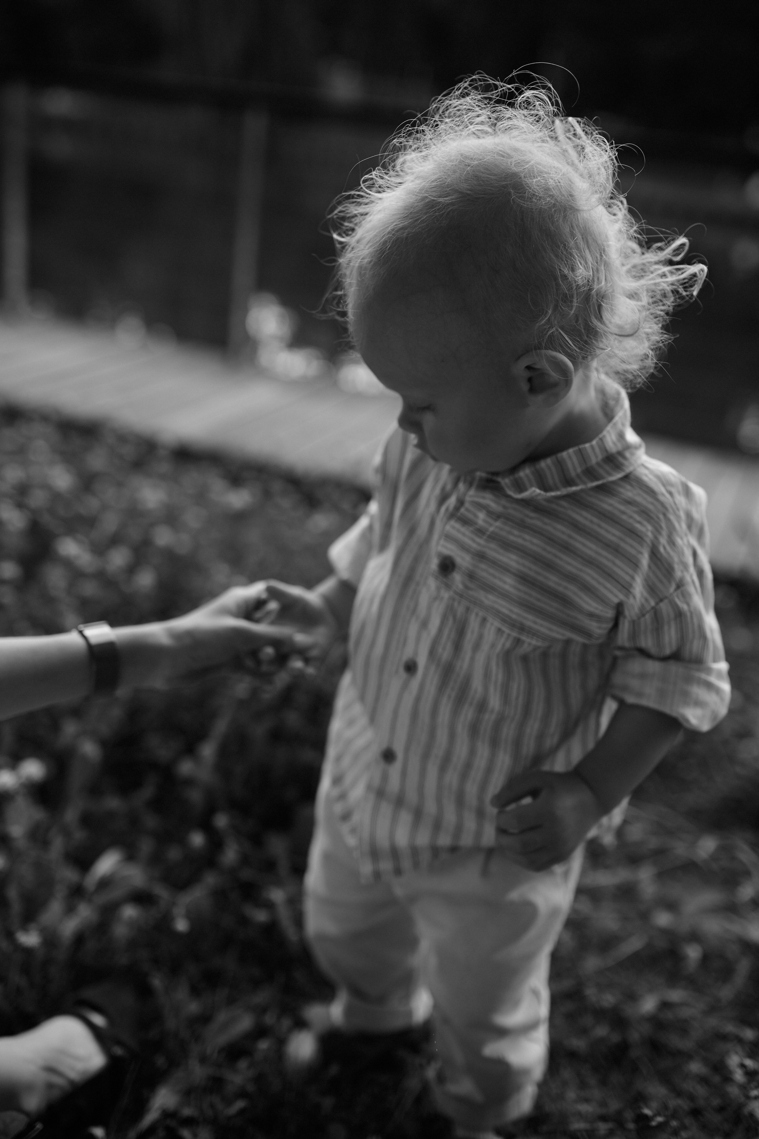 Сима и Яннис. Семейный и свадебный lifestyle-фотограф в Москве Мария Петрова