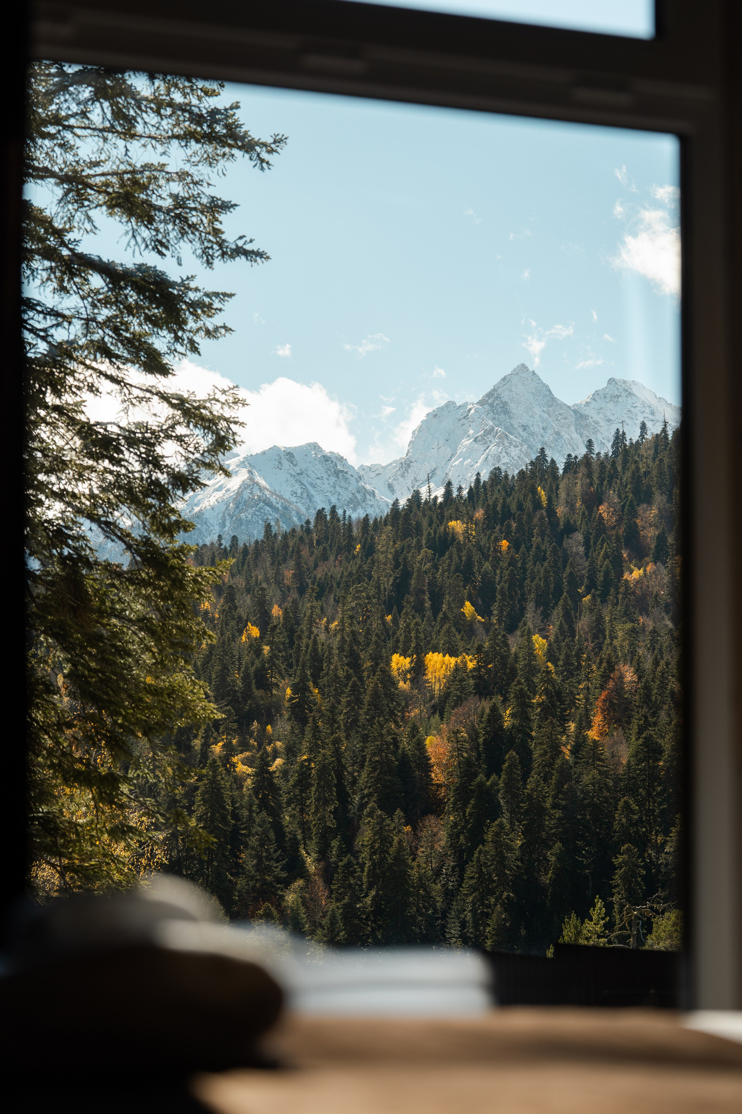 SkyWood. Фотограф и видеограф Елена Хмелевская
