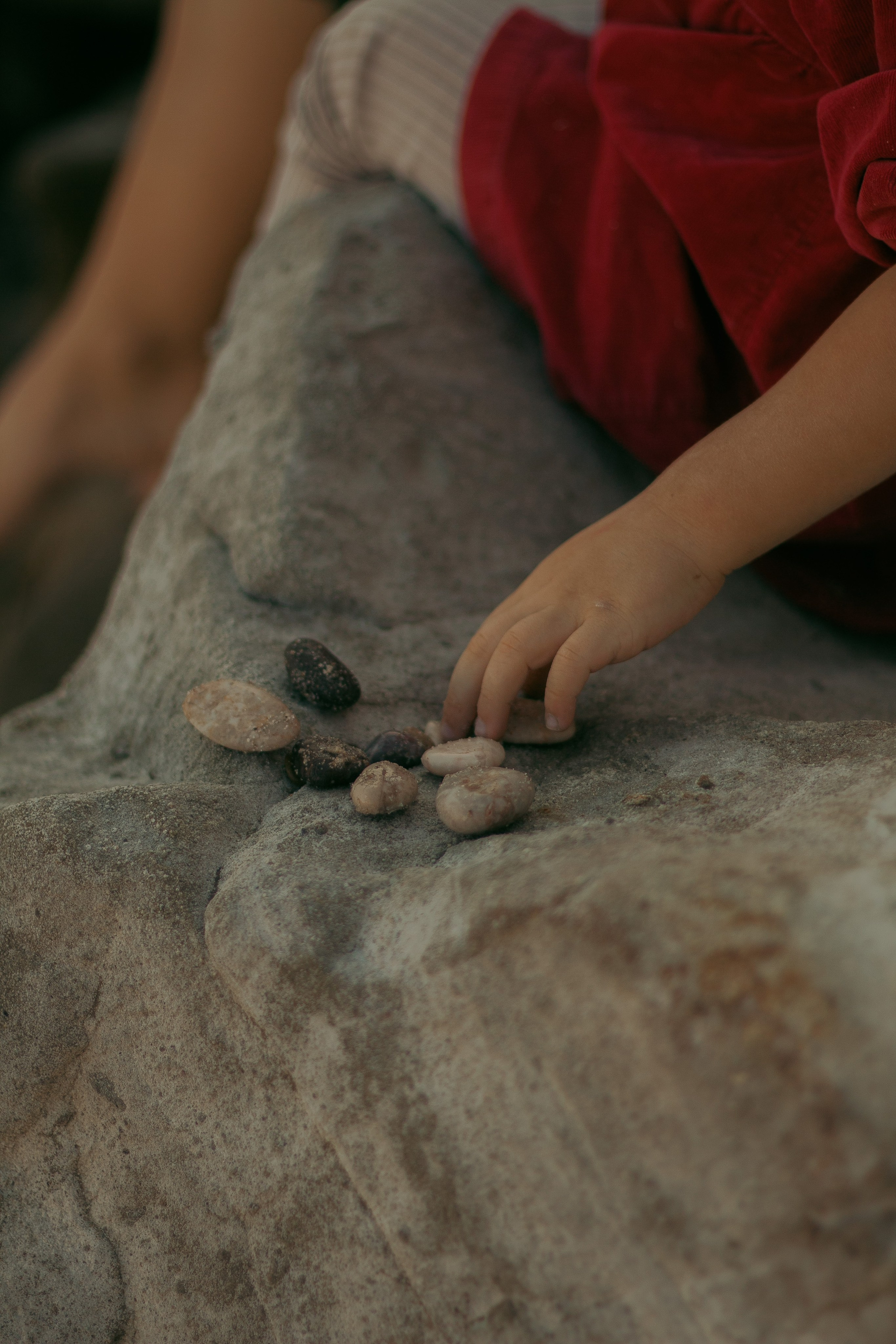 Daria. İrandek. Fotoğrafçı. İzmir