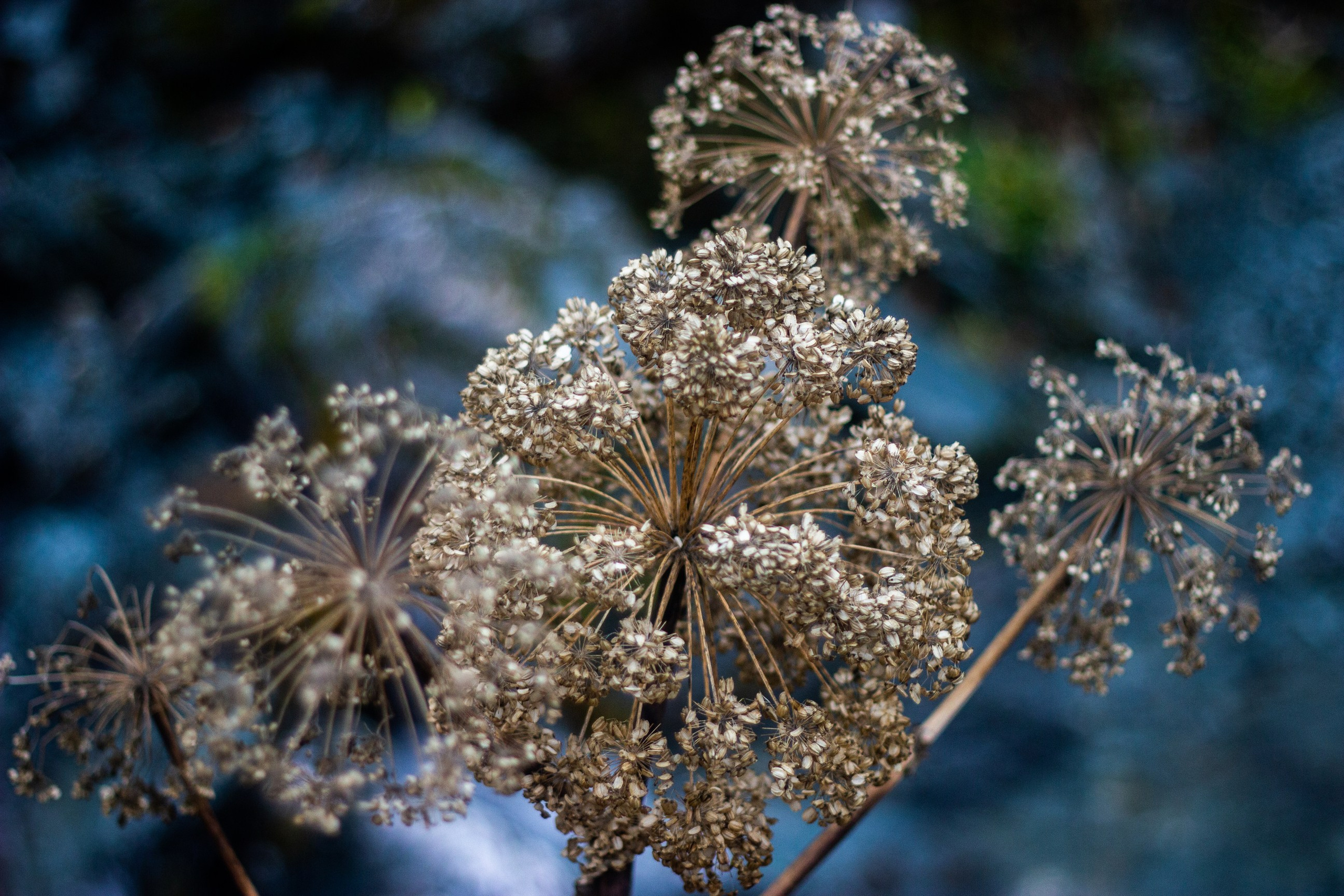 Станция Собь. Фотограф Екатерина Зорина