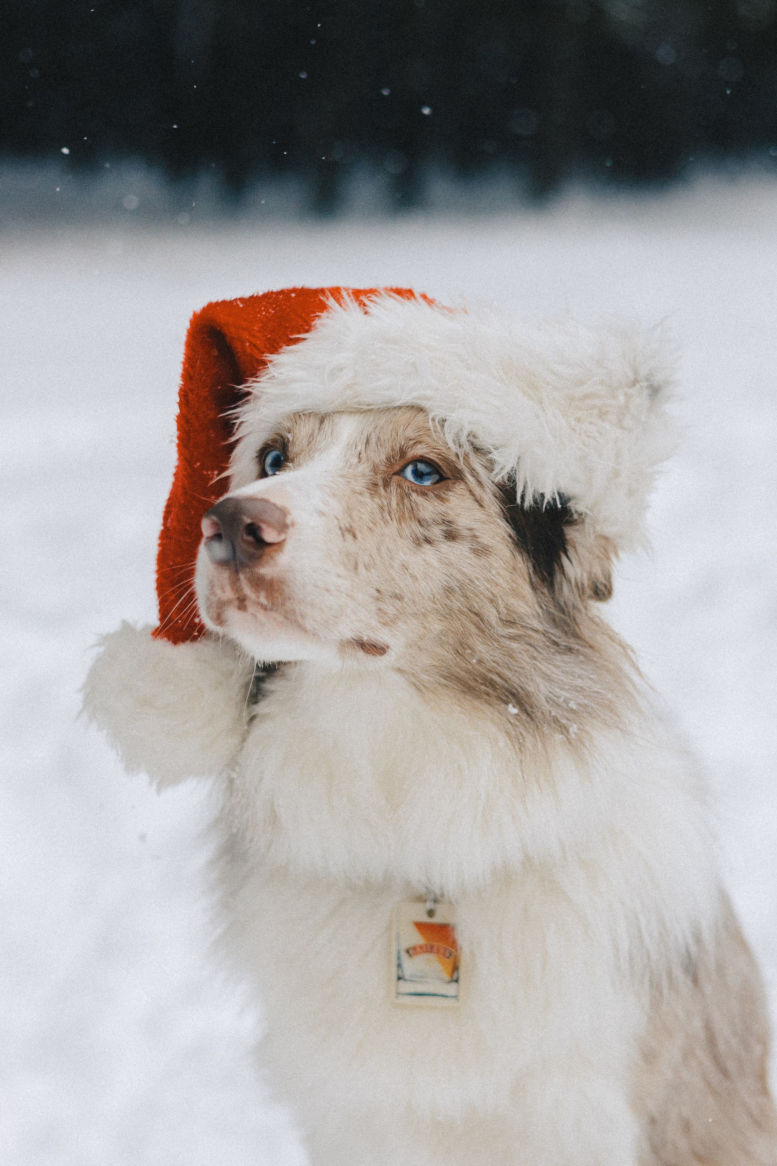 Настя и Ваня. Фотограф Анна Луценко Москва