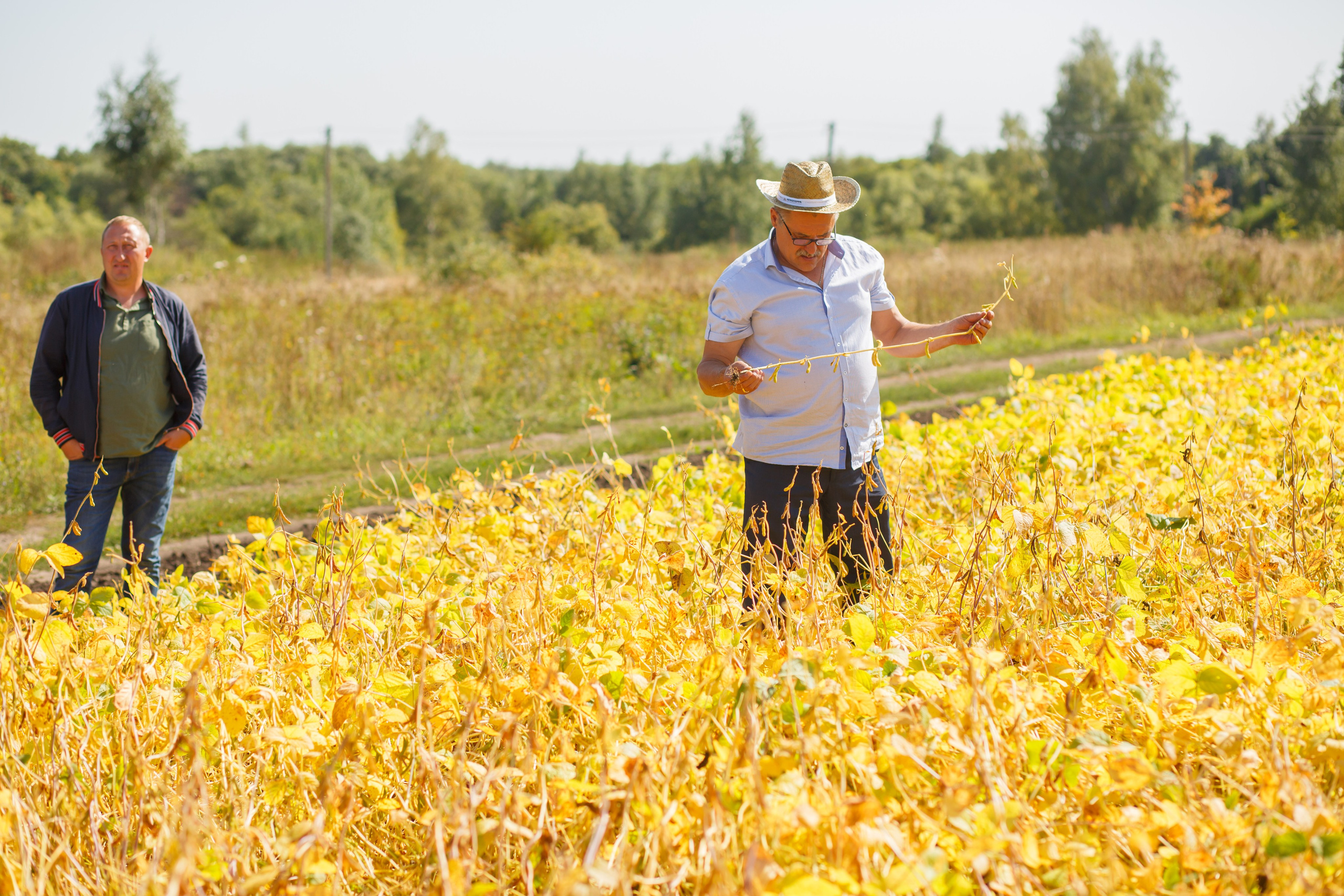 Агротерра. Фотограф Яков Поспехов