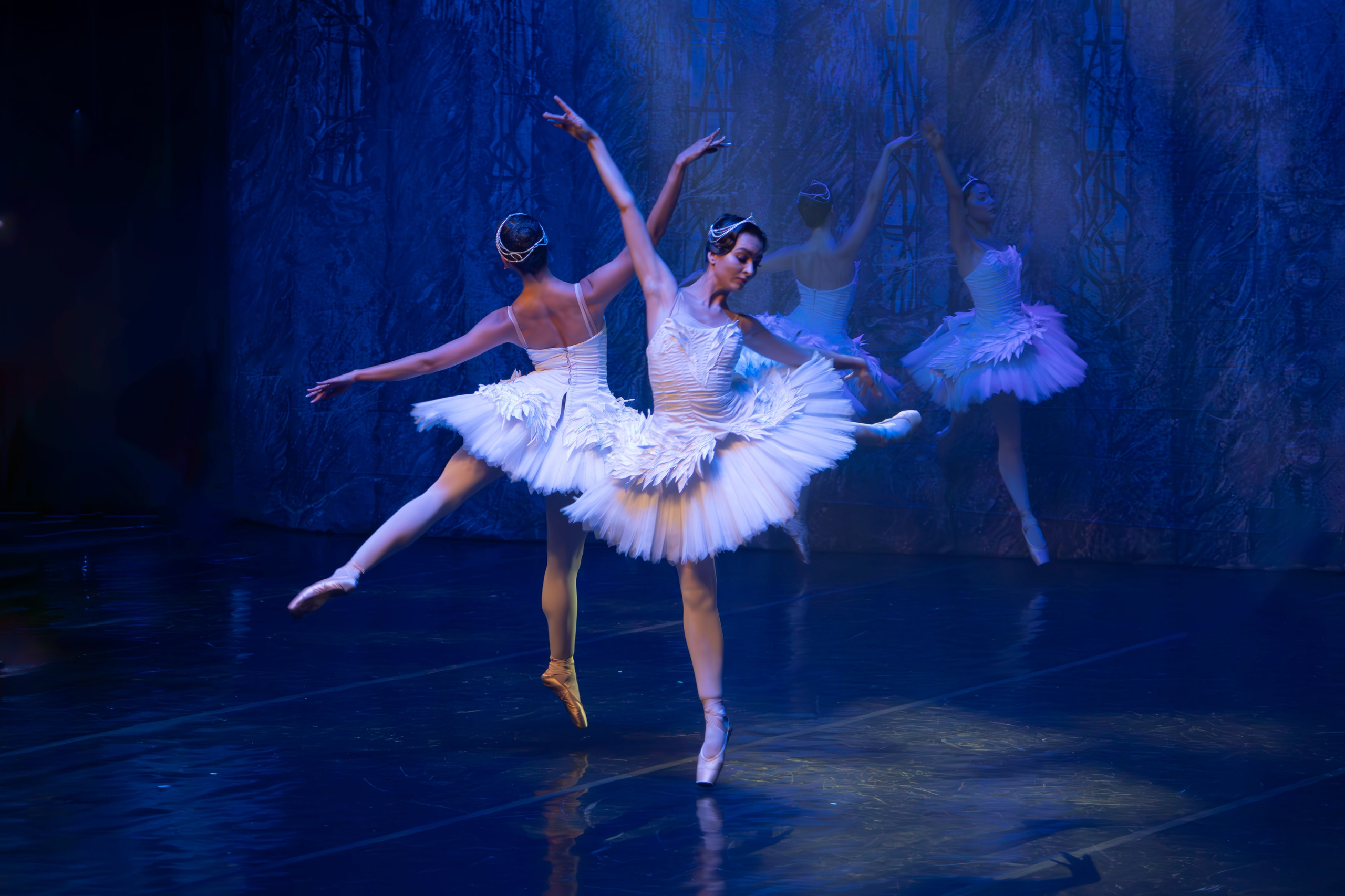 Лебединое озеро. Имперский русский балет. Фотограф в Нижнем Новгороде Екатерина Хисматулина