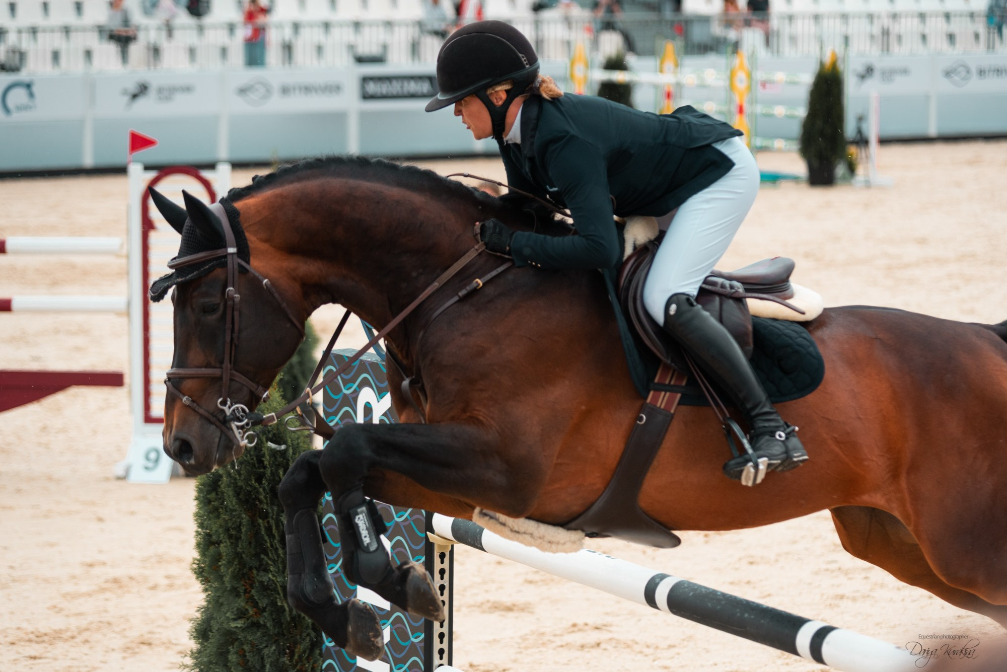 BITRIVER CUP 2023. Конный фотограф Куракина Дарья • Фотосессии с лошадьми