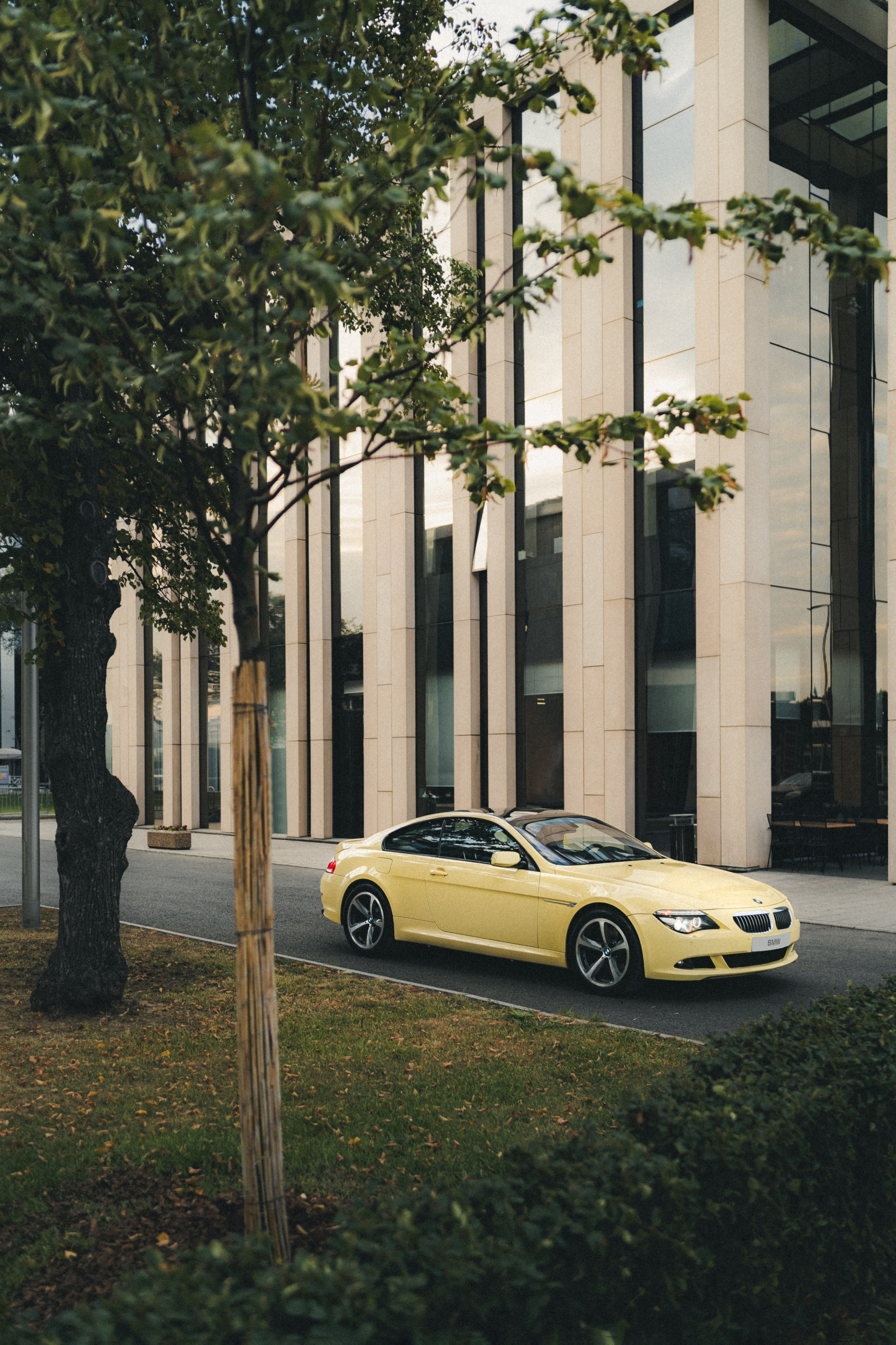 BMW 650i (Dakar Yellow). Фотограф Илья К. в Москве