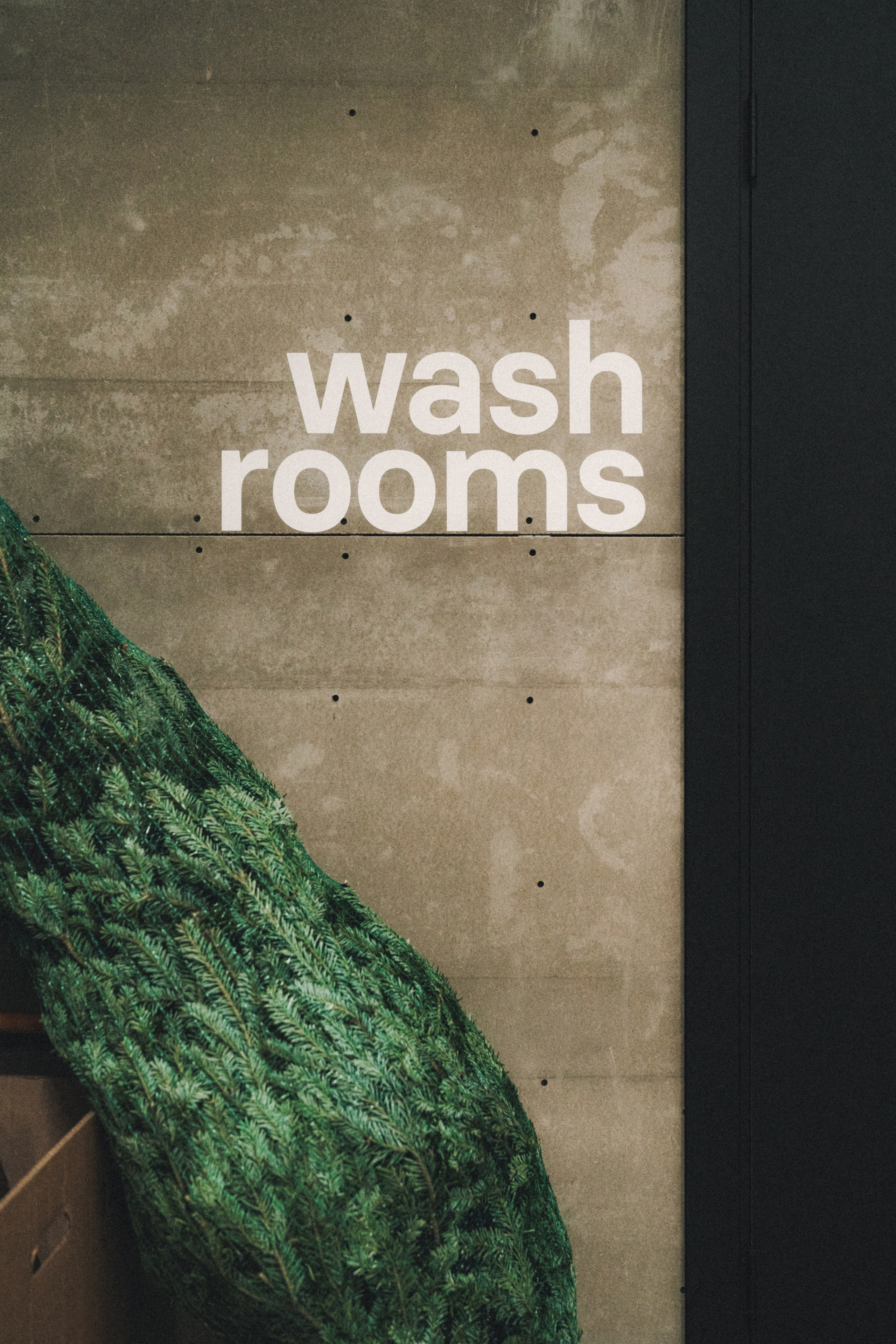 Fauno. Фотограф Илья К. в Москве