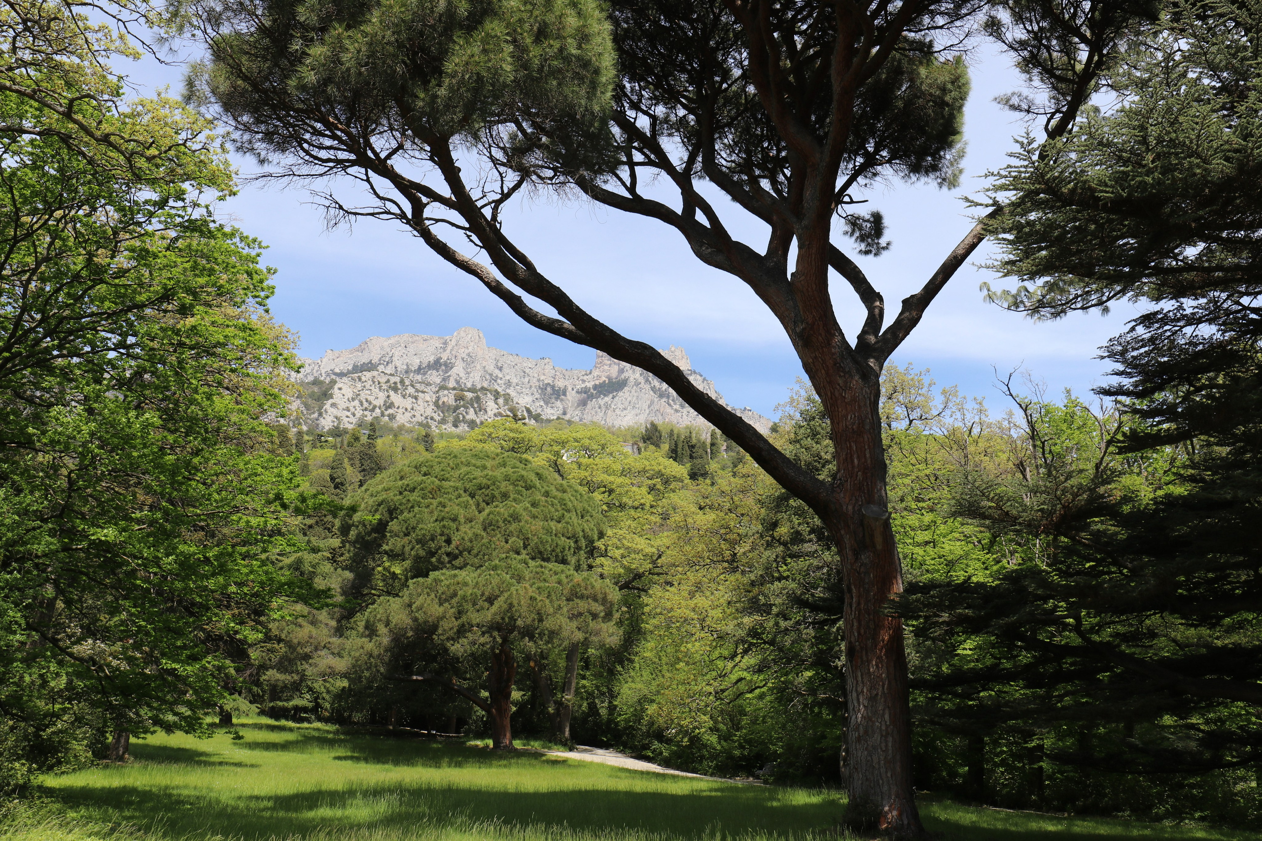 Крым. ЮБК (Бахчисарай, Кастрополь, Таракташская тропа). Май 2021. Путешественник-фотограф из Санкт-Петербурга Татьяна Свистулина