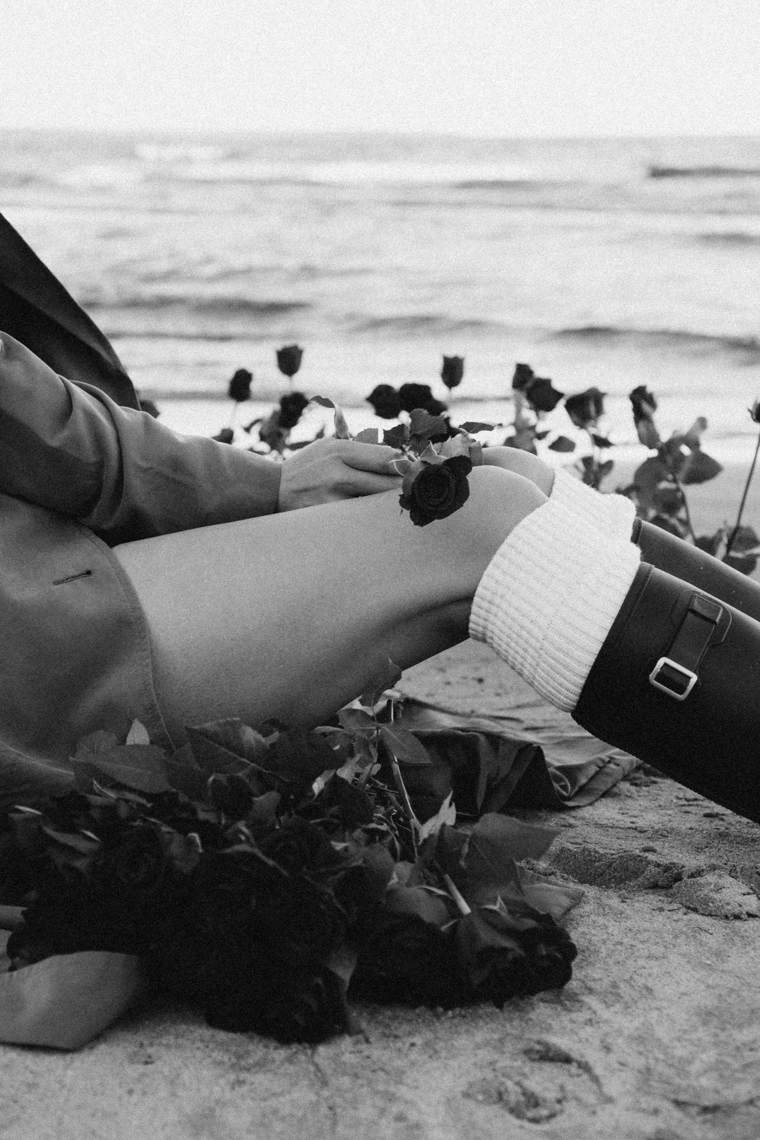 Розы. Профессиональный фотограф, Санкт-Петербург — Виктория Богомолова